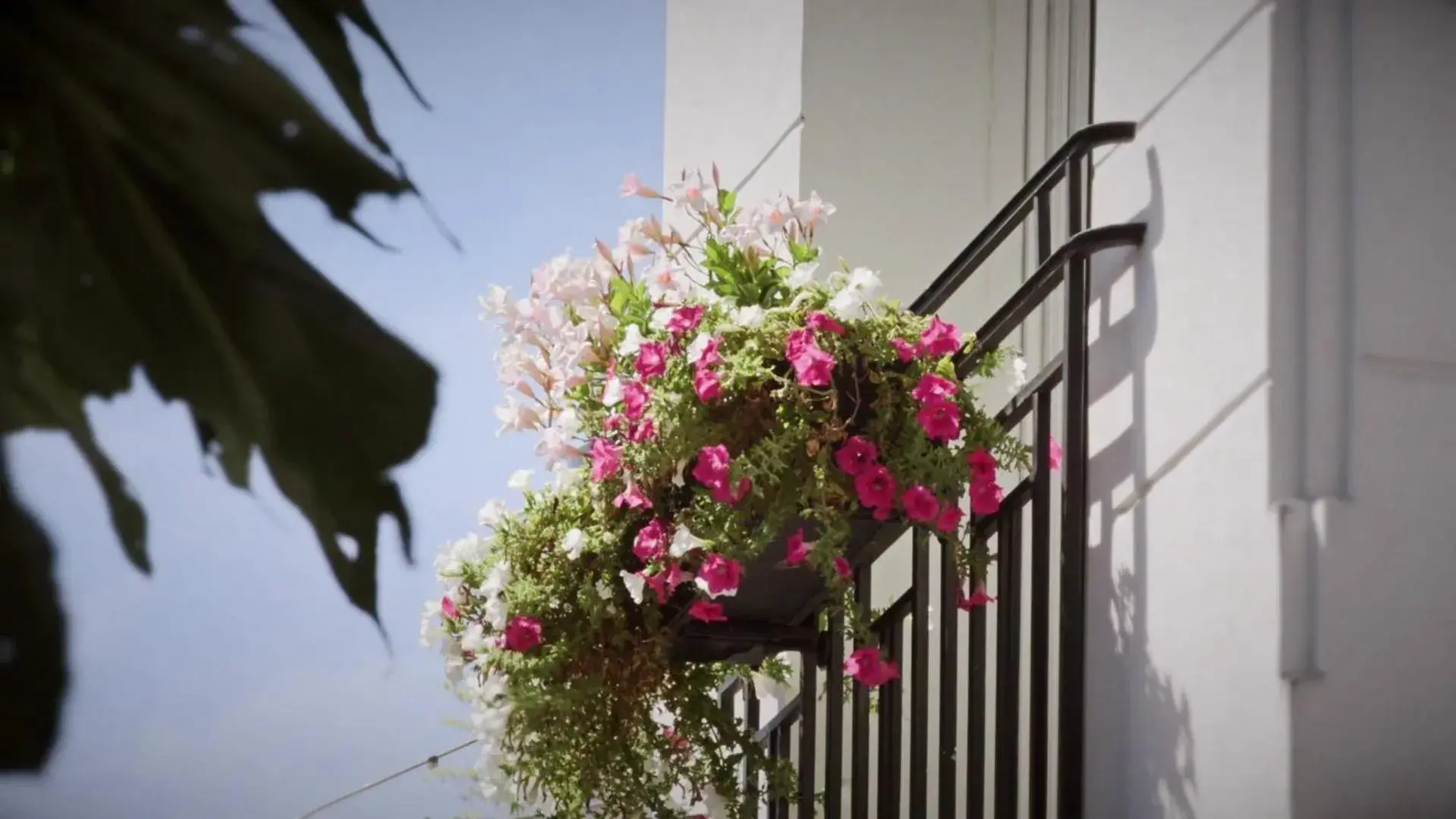 Facade/entrance in Montmartre Residence Facade/entrance in Montmartre Residence