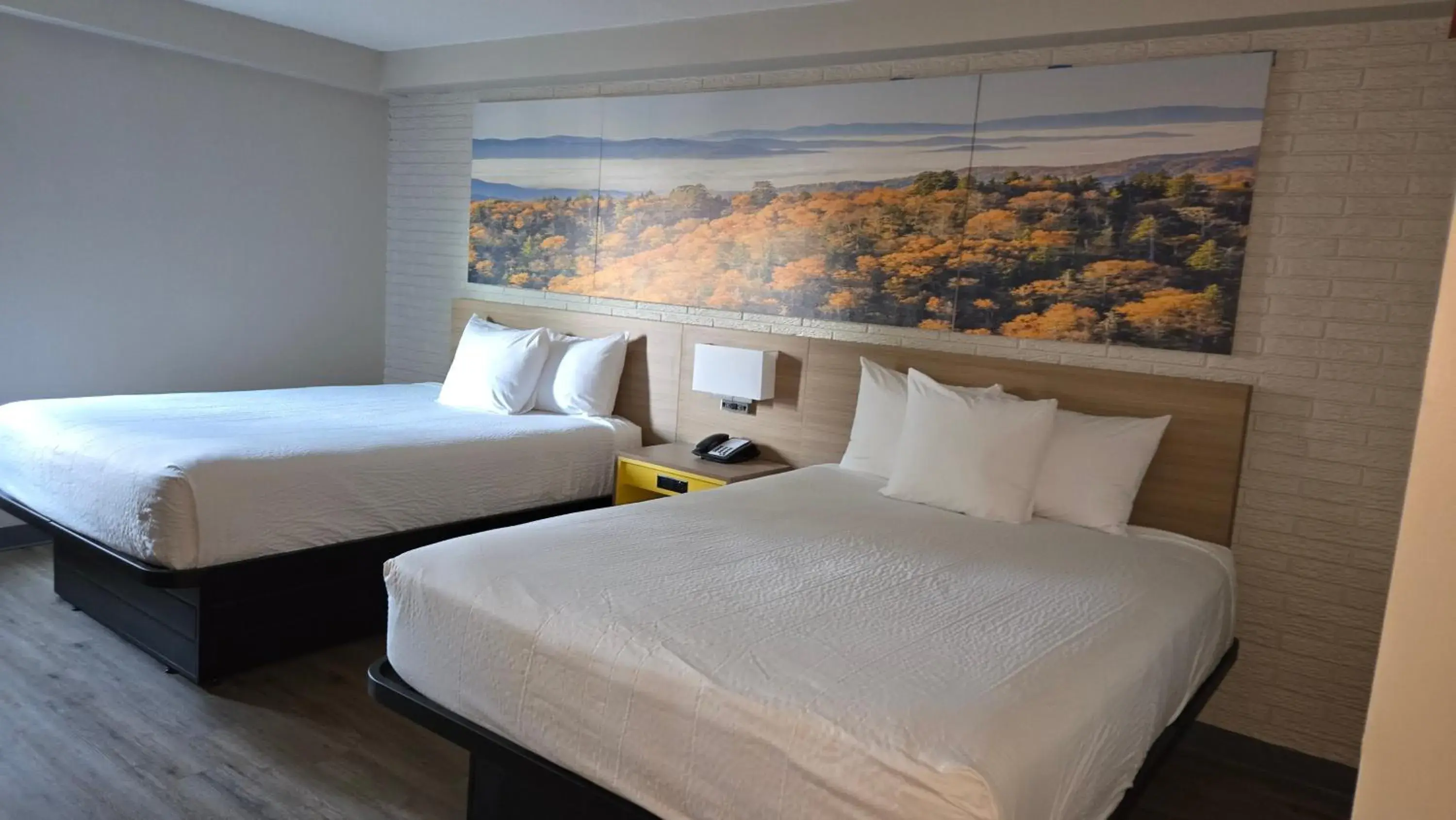 Bedroom, Bed in Days Inn by Wyndham Manassas Battlefield Bedroom, Bed in Days Inn by Wyndham Manassas Battlefield