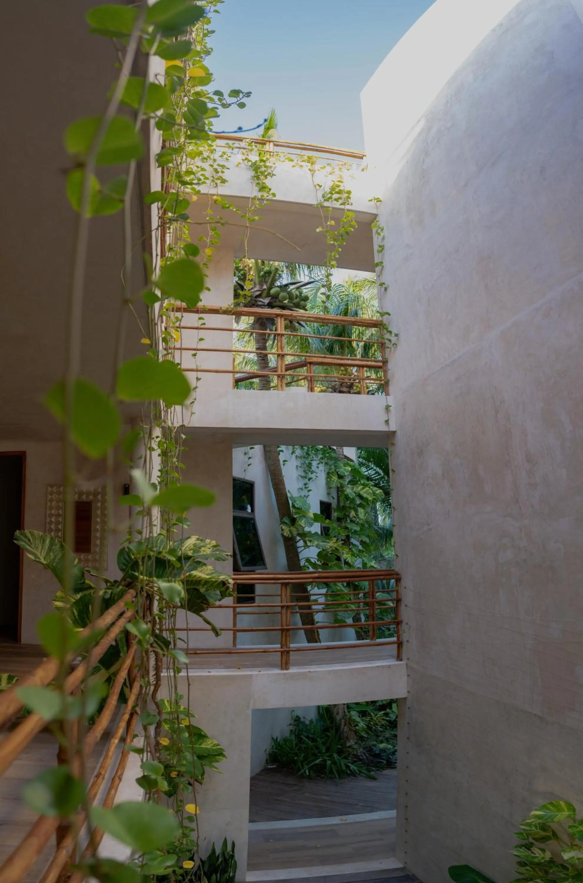 Garden in Los Arrecifes