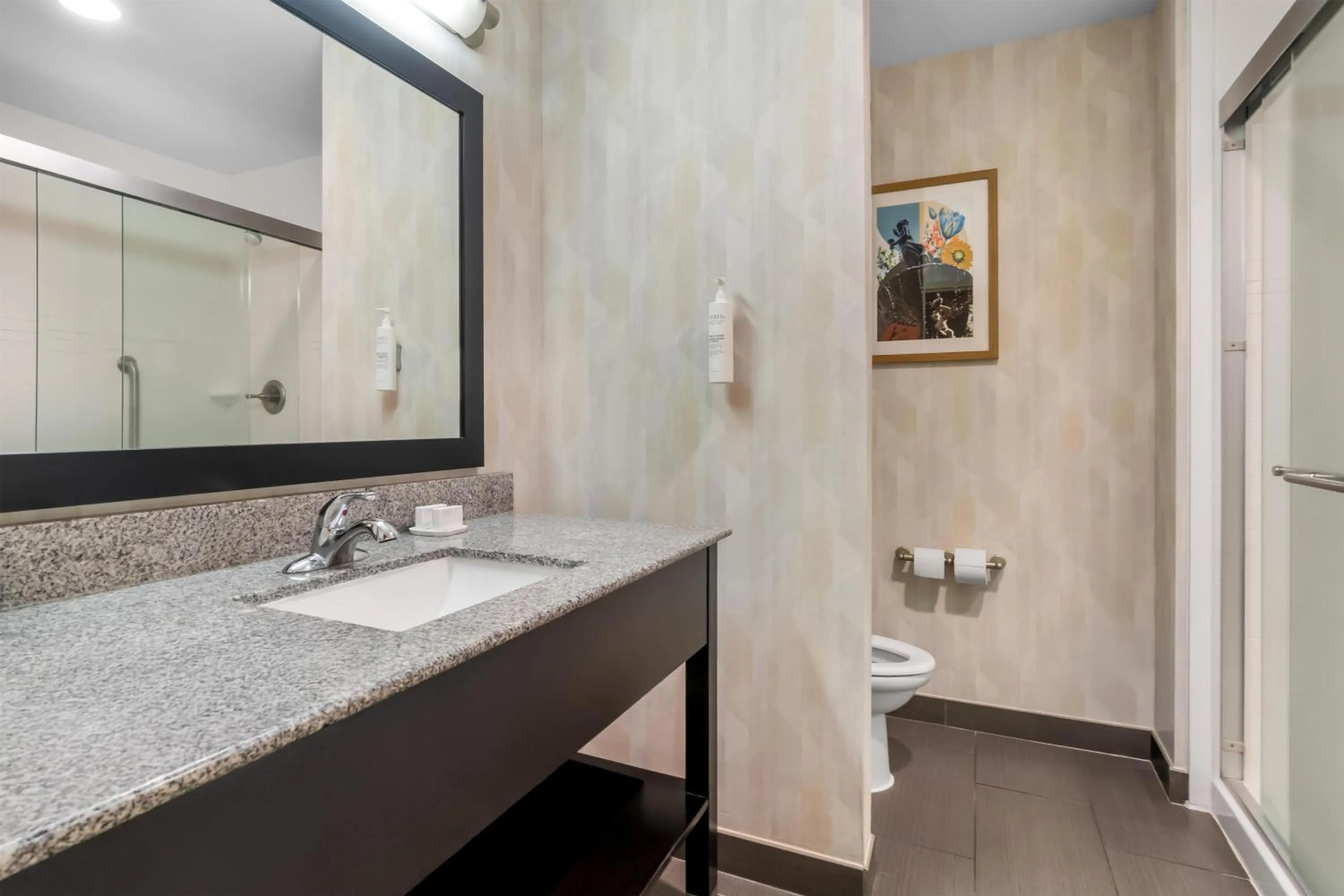 Bathroom in Hampton Inn Marion