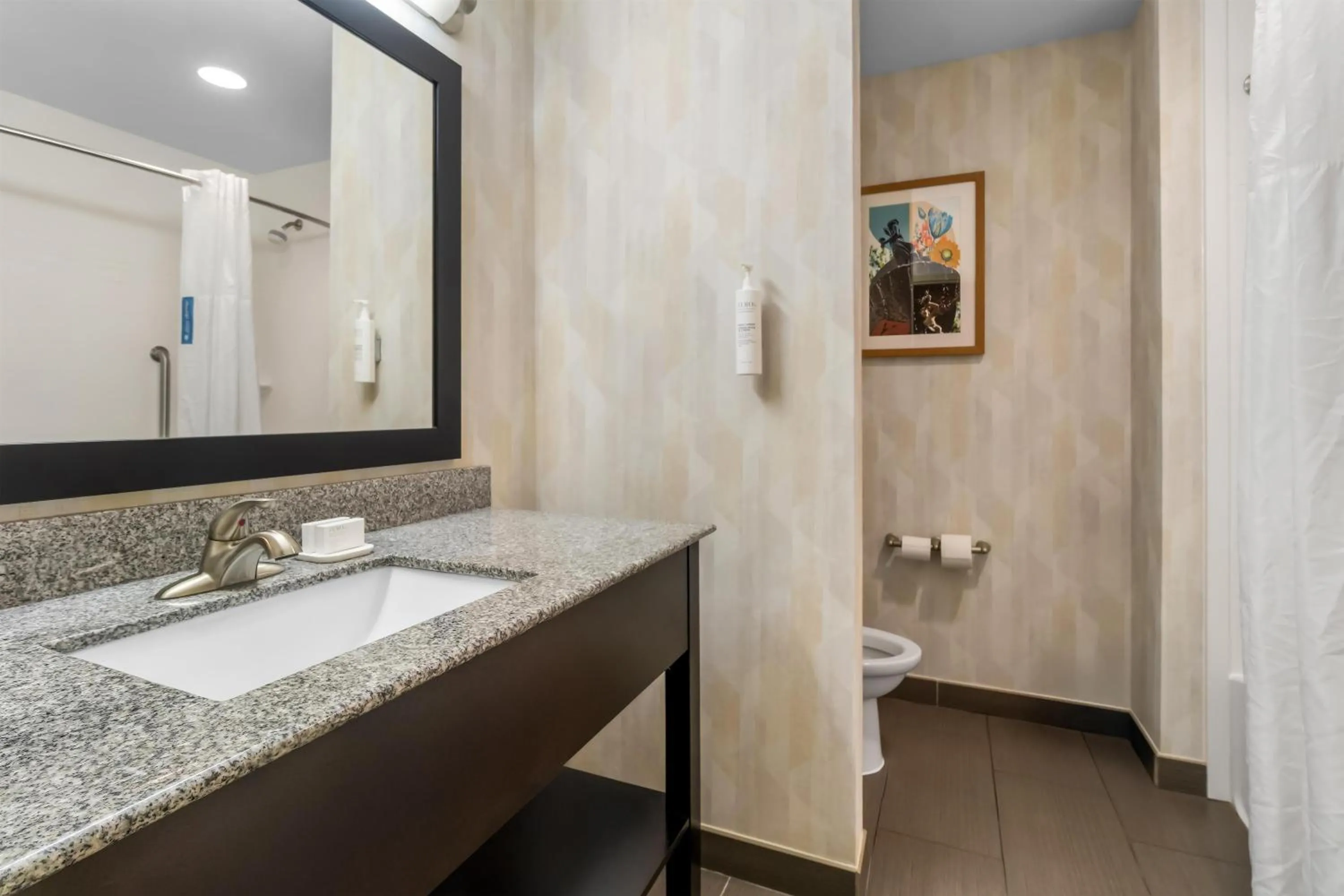 Bathroom in Hampton Inn Marion