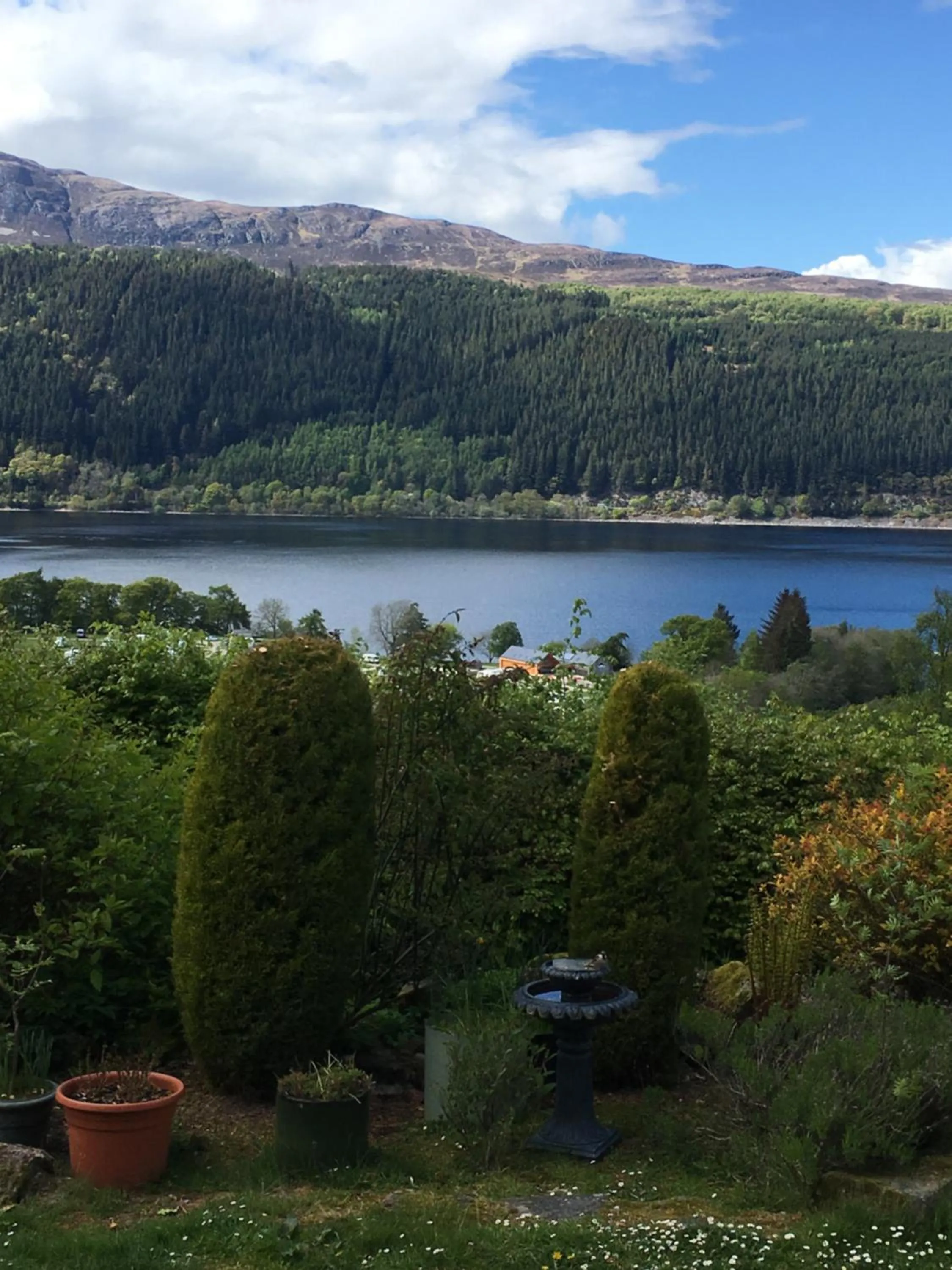 Natural landscape in Craigdarroch Hotel