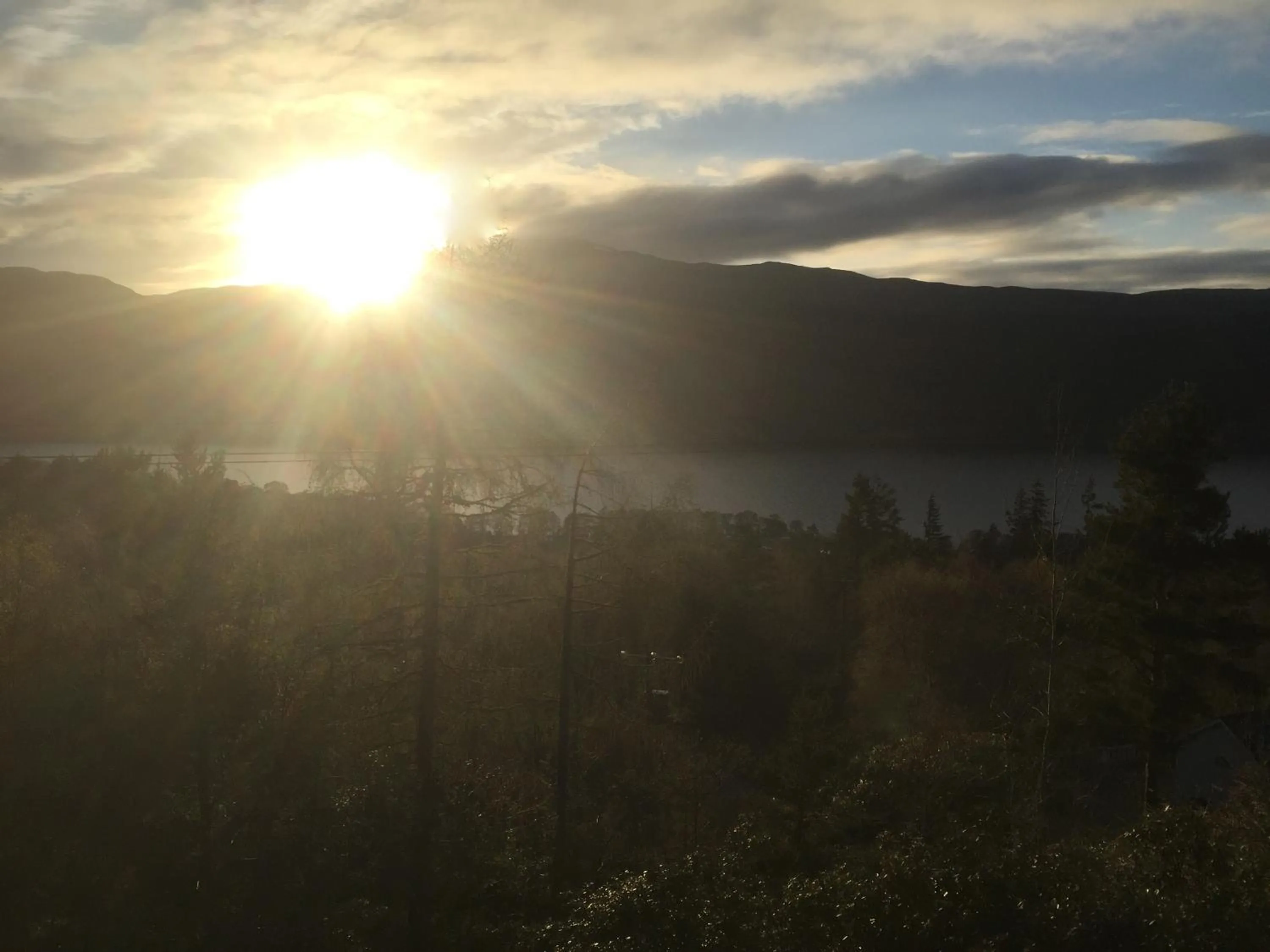 Spring in Foyers House