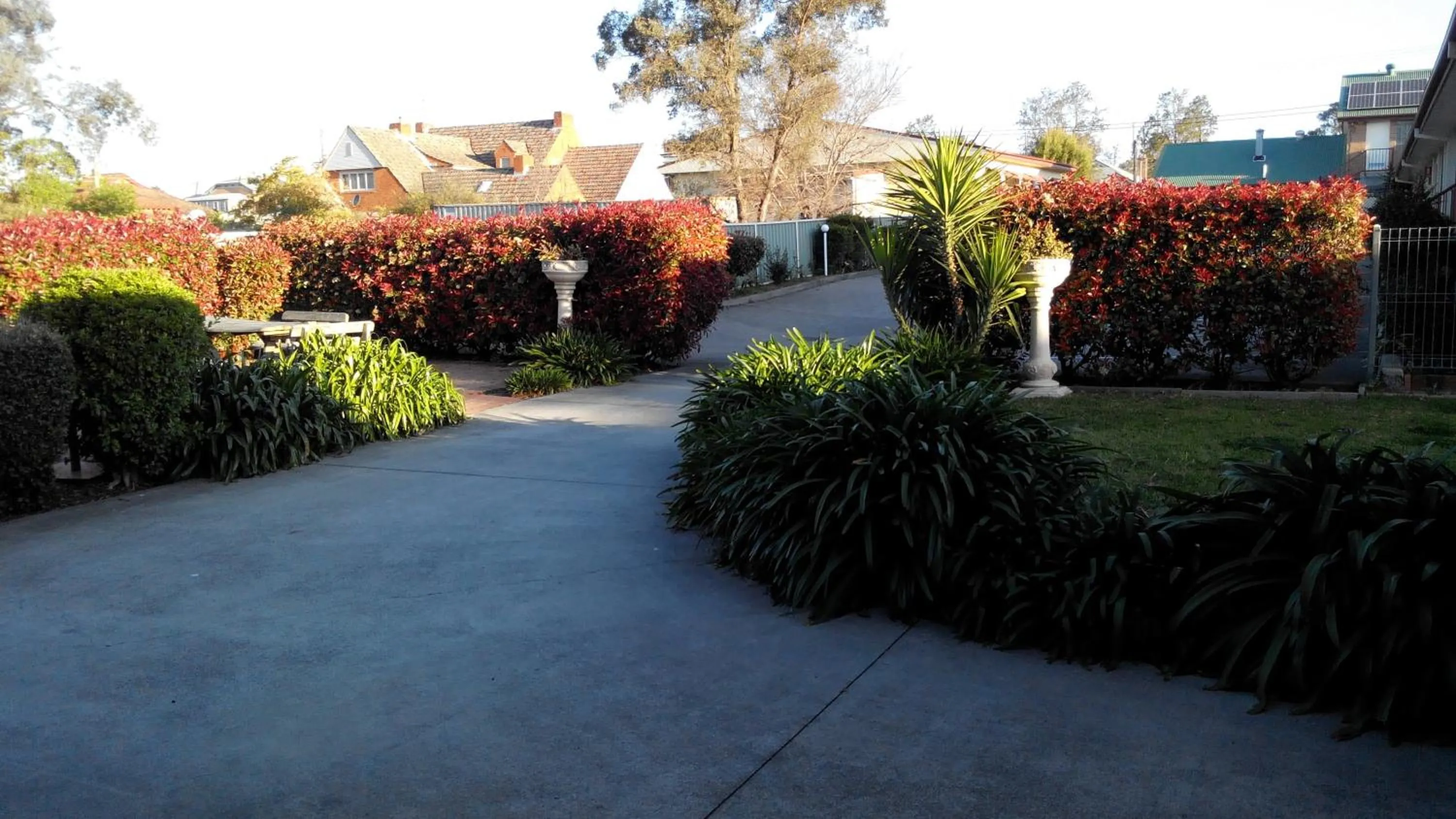 Area and facilities in Branxton House Motel
