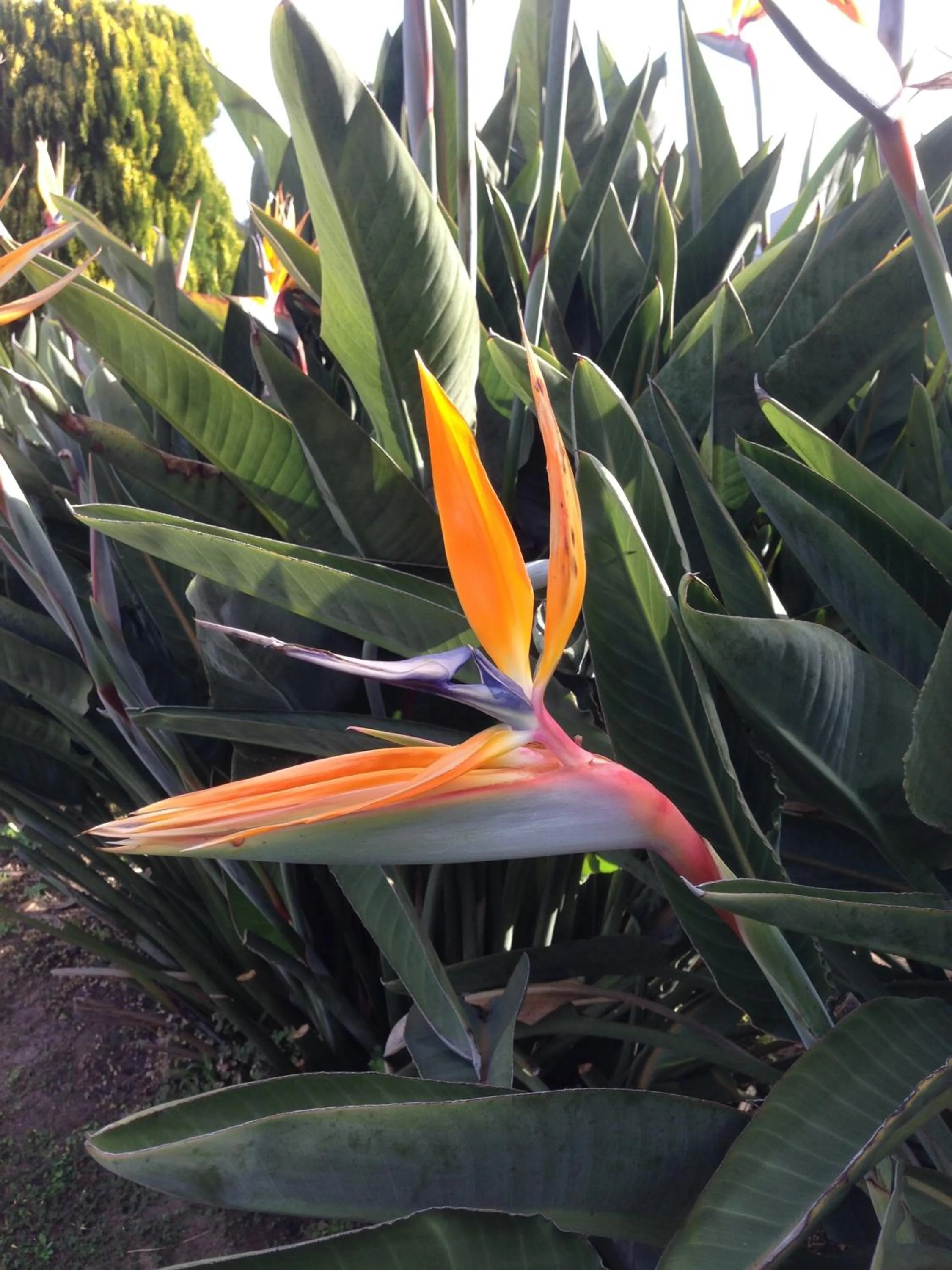 Area and facilities in Branxton House Motel