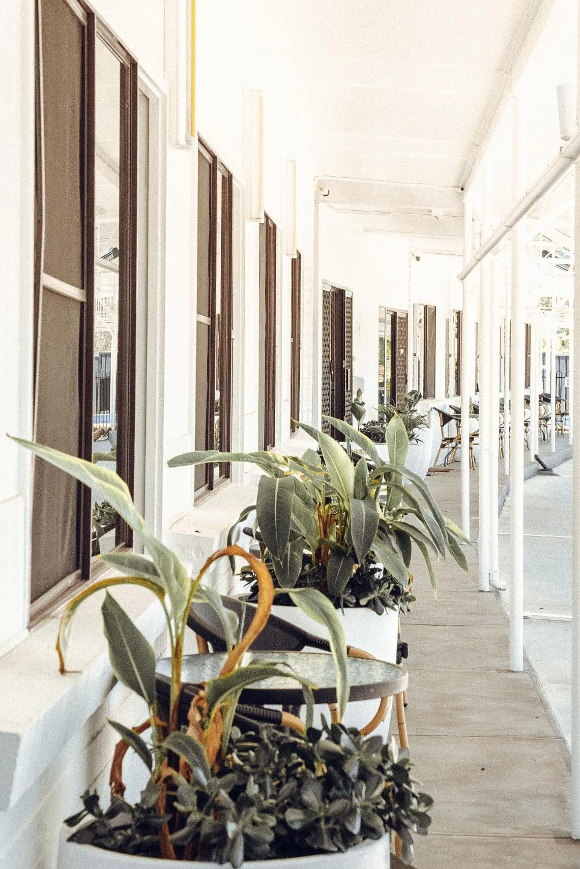 Property building in Motel Maclean