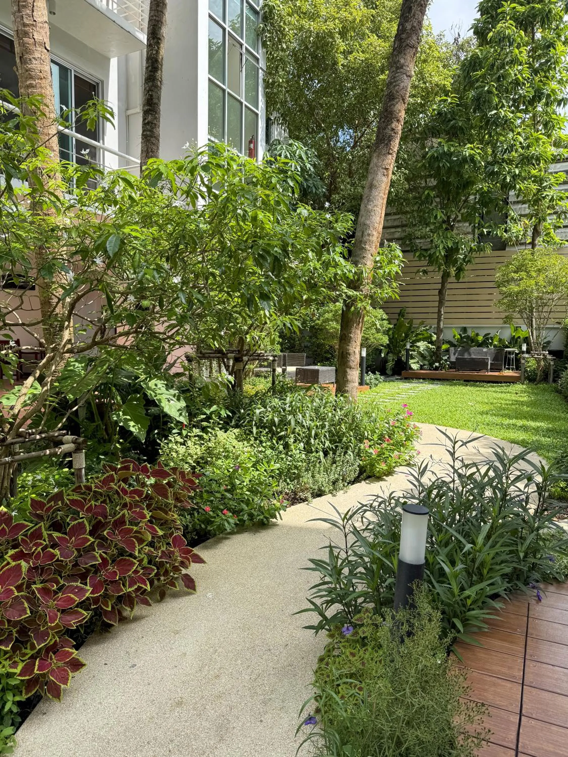 Garden in Townhouse PK Garden