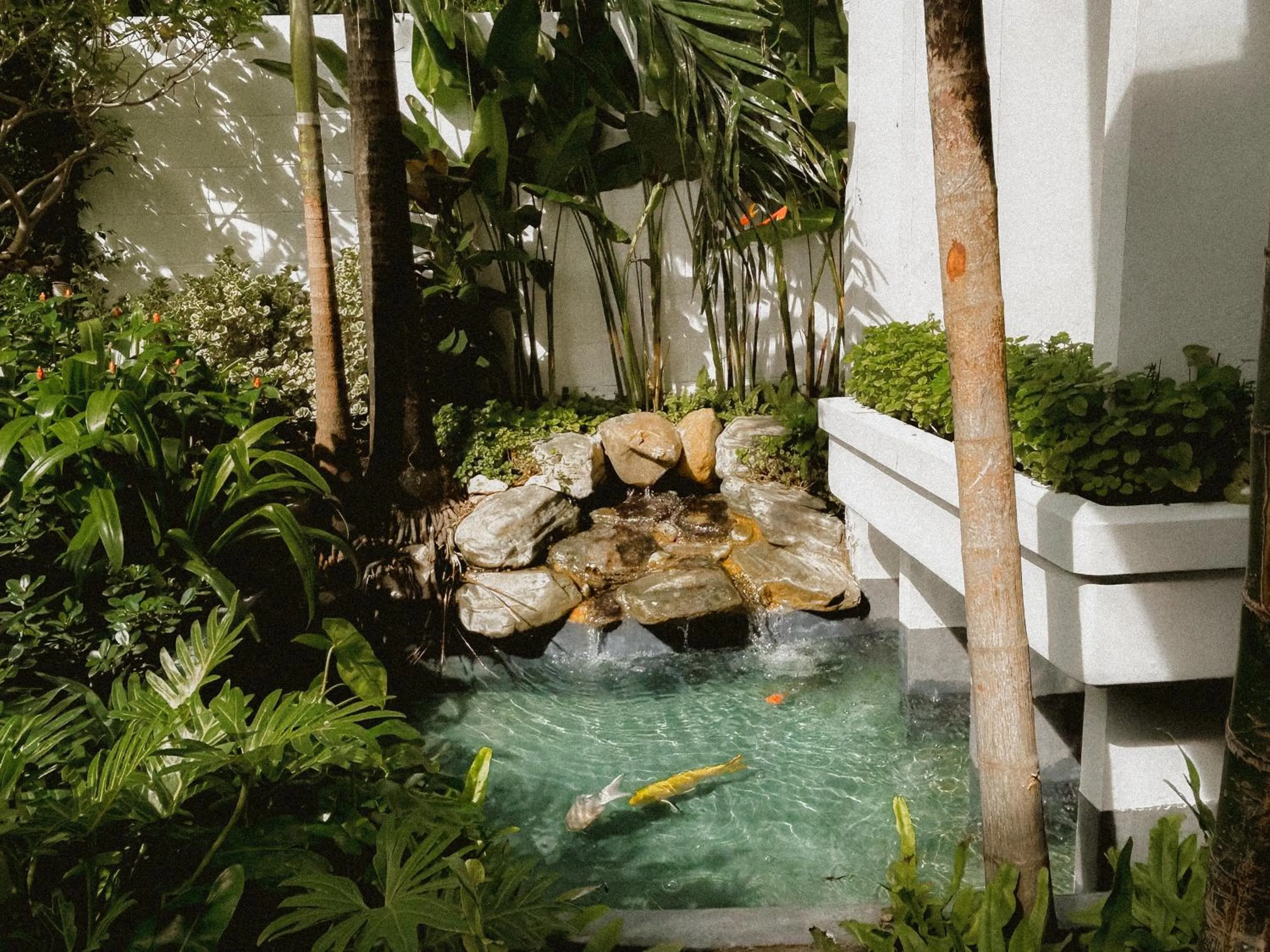 Garden in Townhouse PK Garden