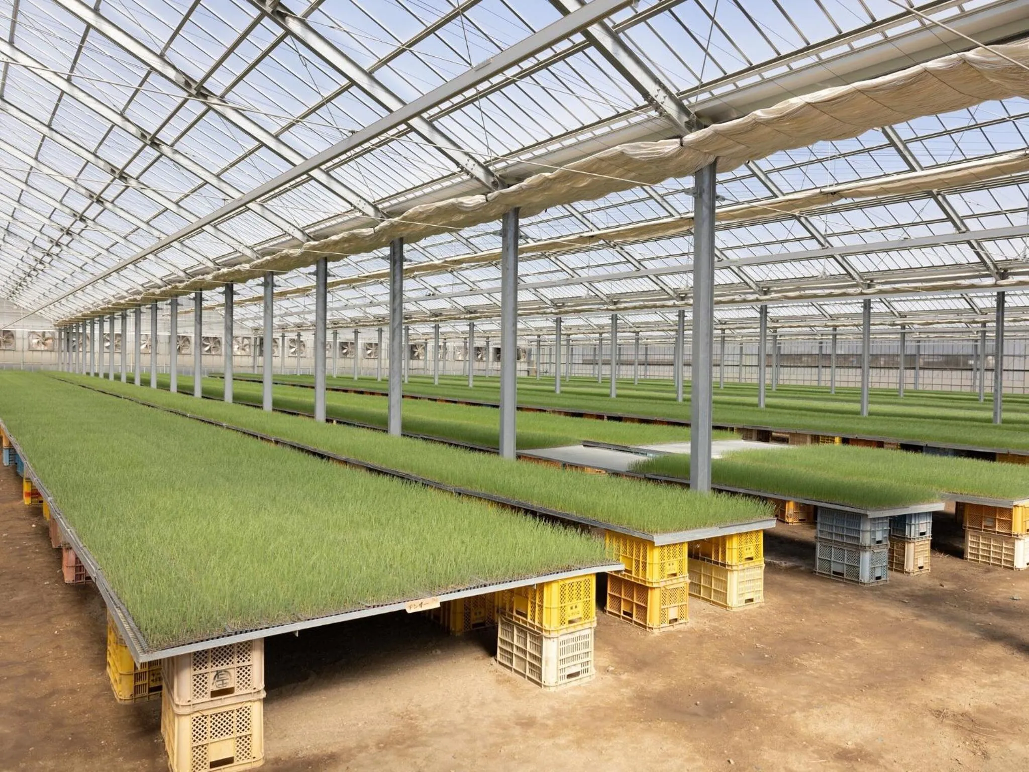 Breakfast in Hotel Taiyo Noen Tokushima Kenchomae