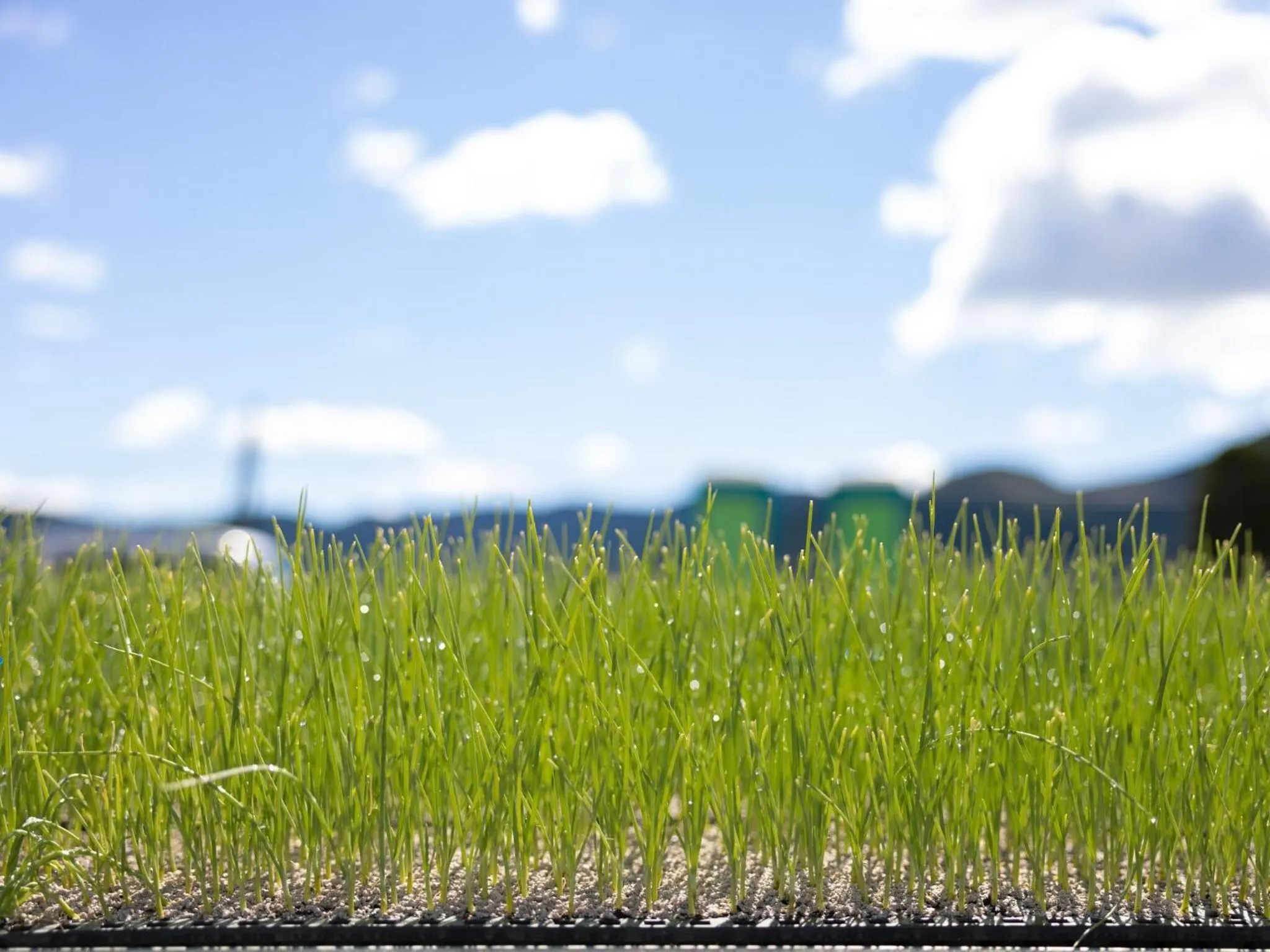 Breakfast in Hotel Taiyo Noen Tokushima Kenchomae