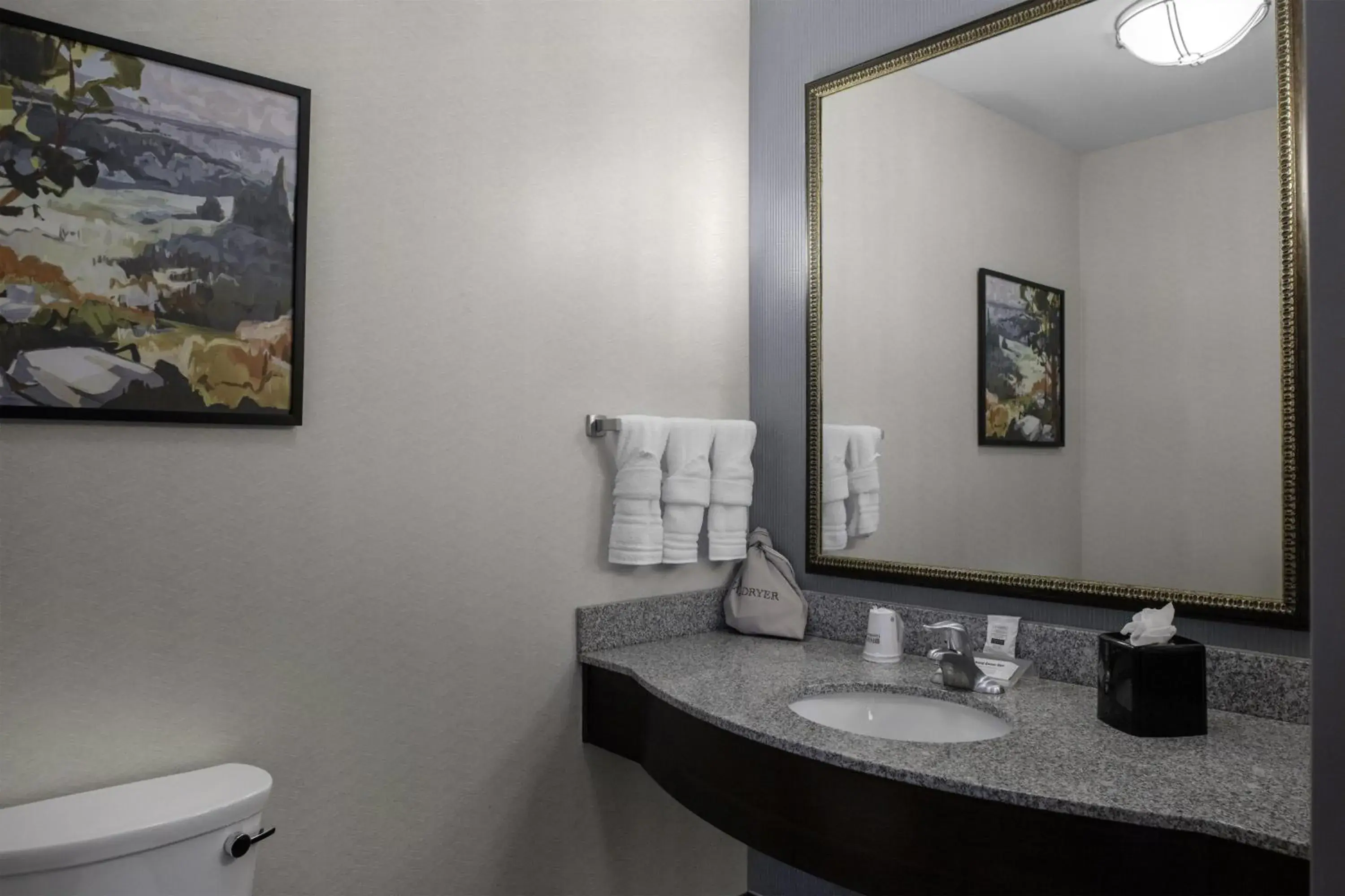 Bathroom in Hilton Garden Inn Denison/Sherman/At Texoma Event Center Bathroom in Hilton Garden Inn Denison/Sherman/At Texoma Event Center