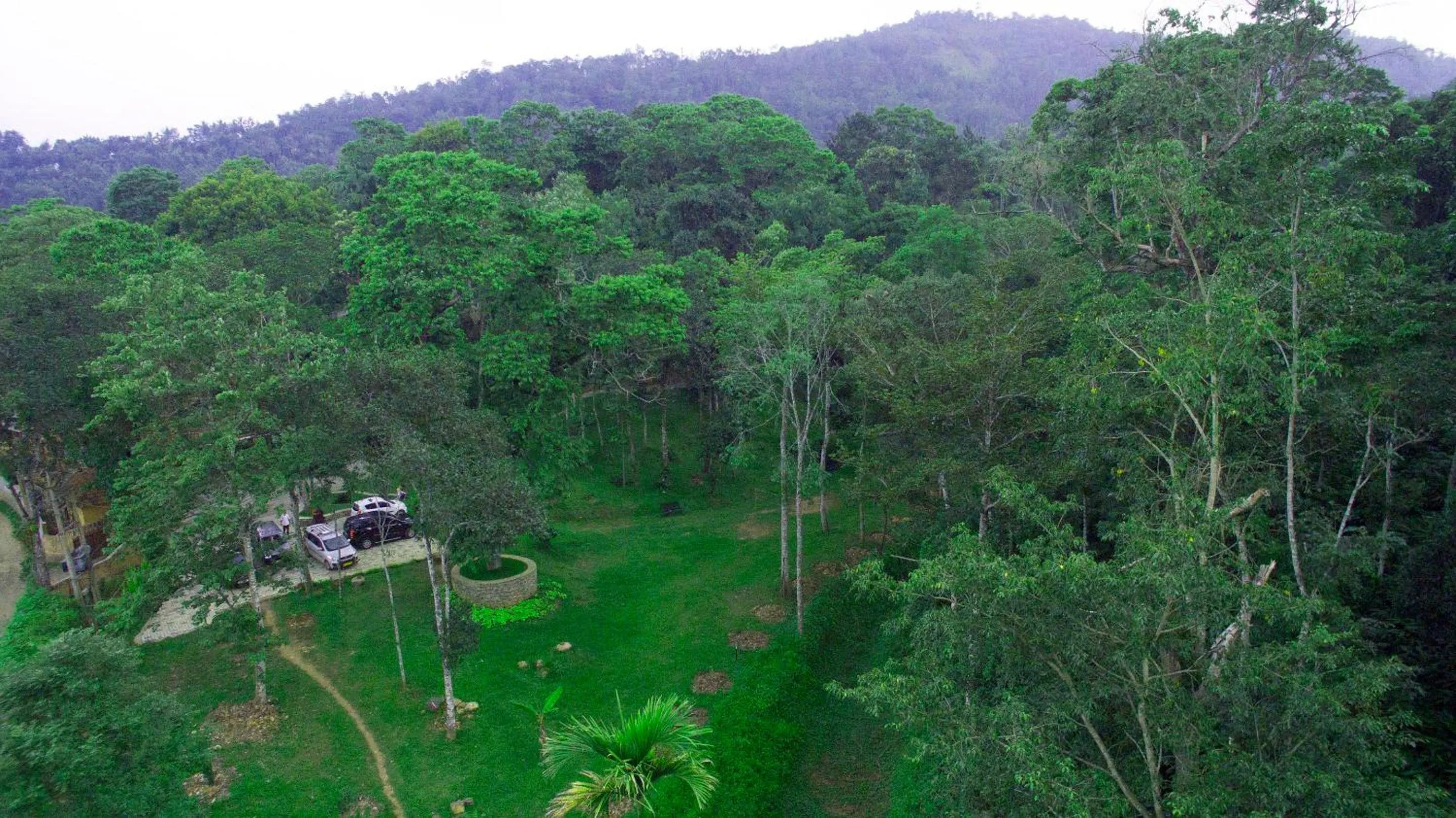 Natural landscape in Coffee Routes