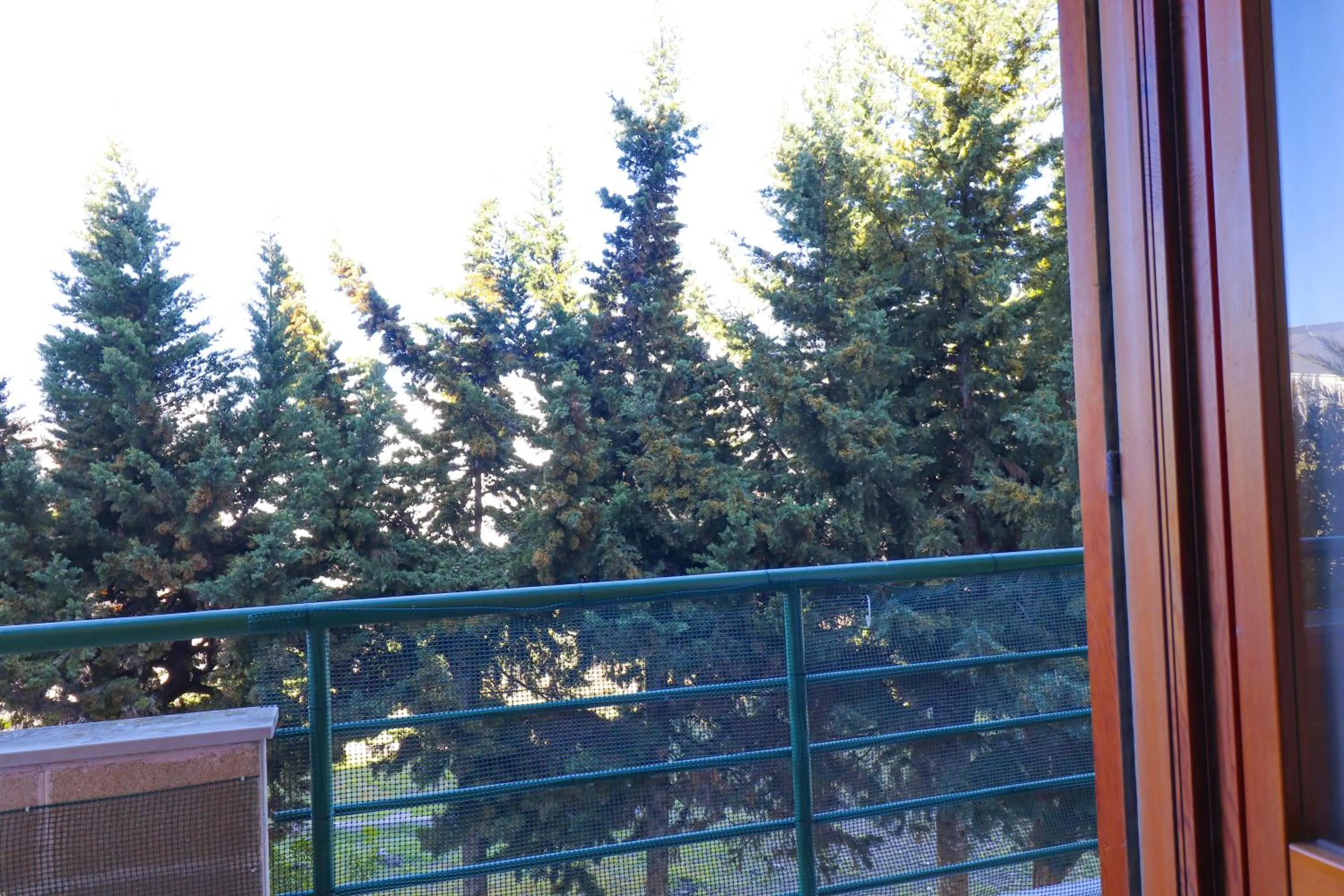 Casa Zara Ideal Stay for Families and Small Groups