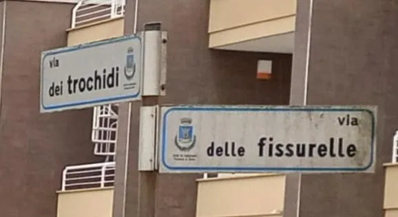 Il Focolare
