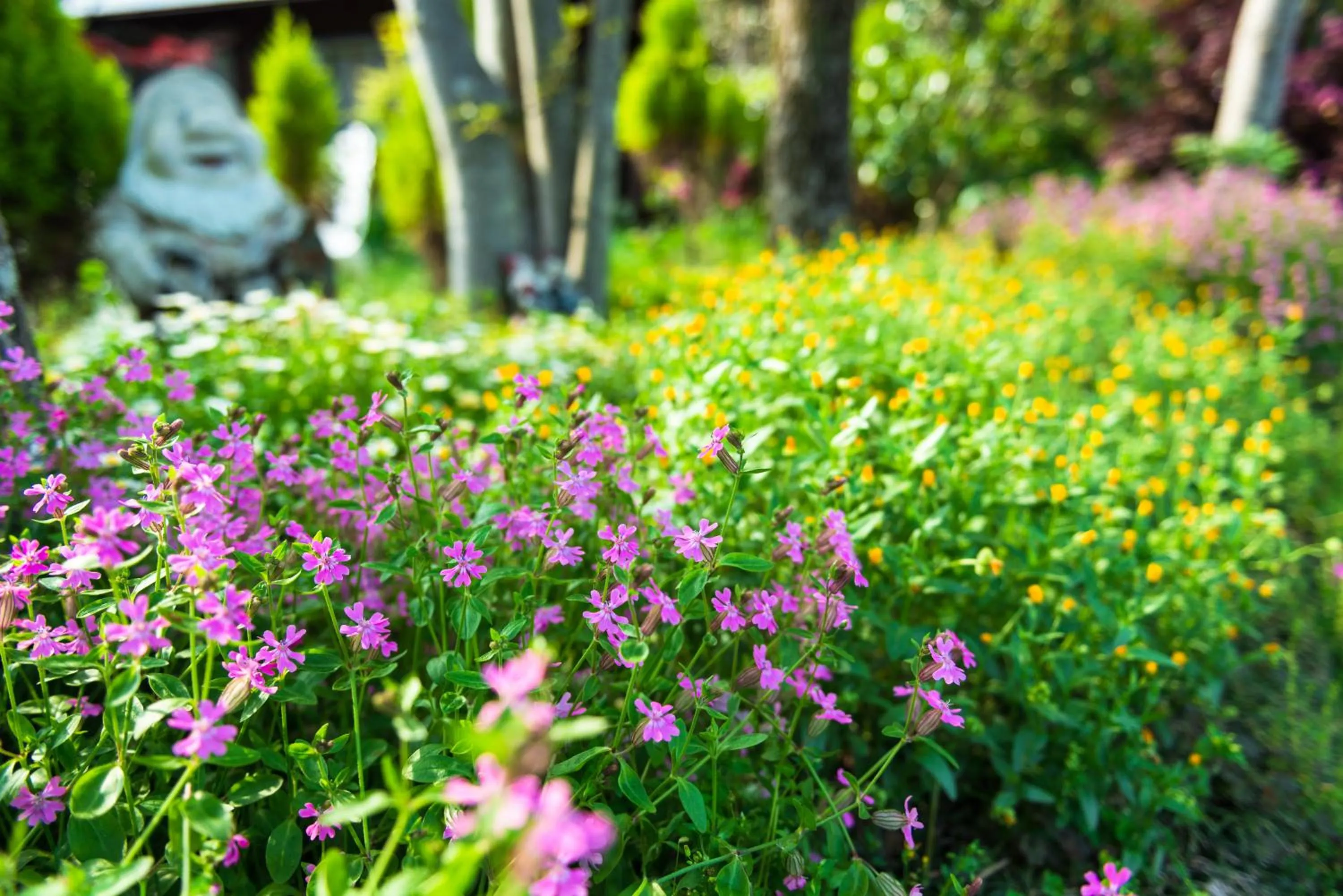 Spring in Pension Yufuin