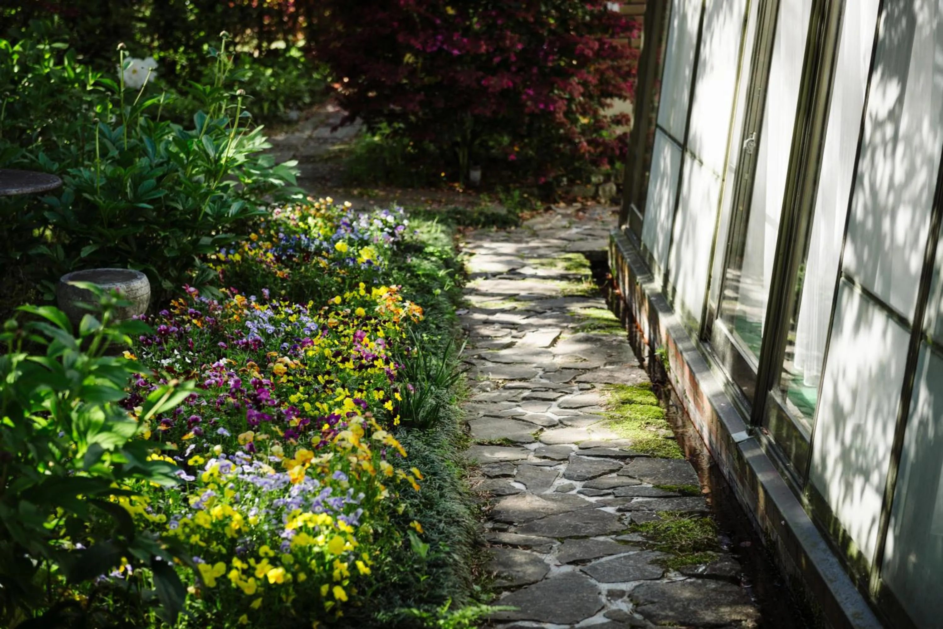 Spring in Pension Yufuin