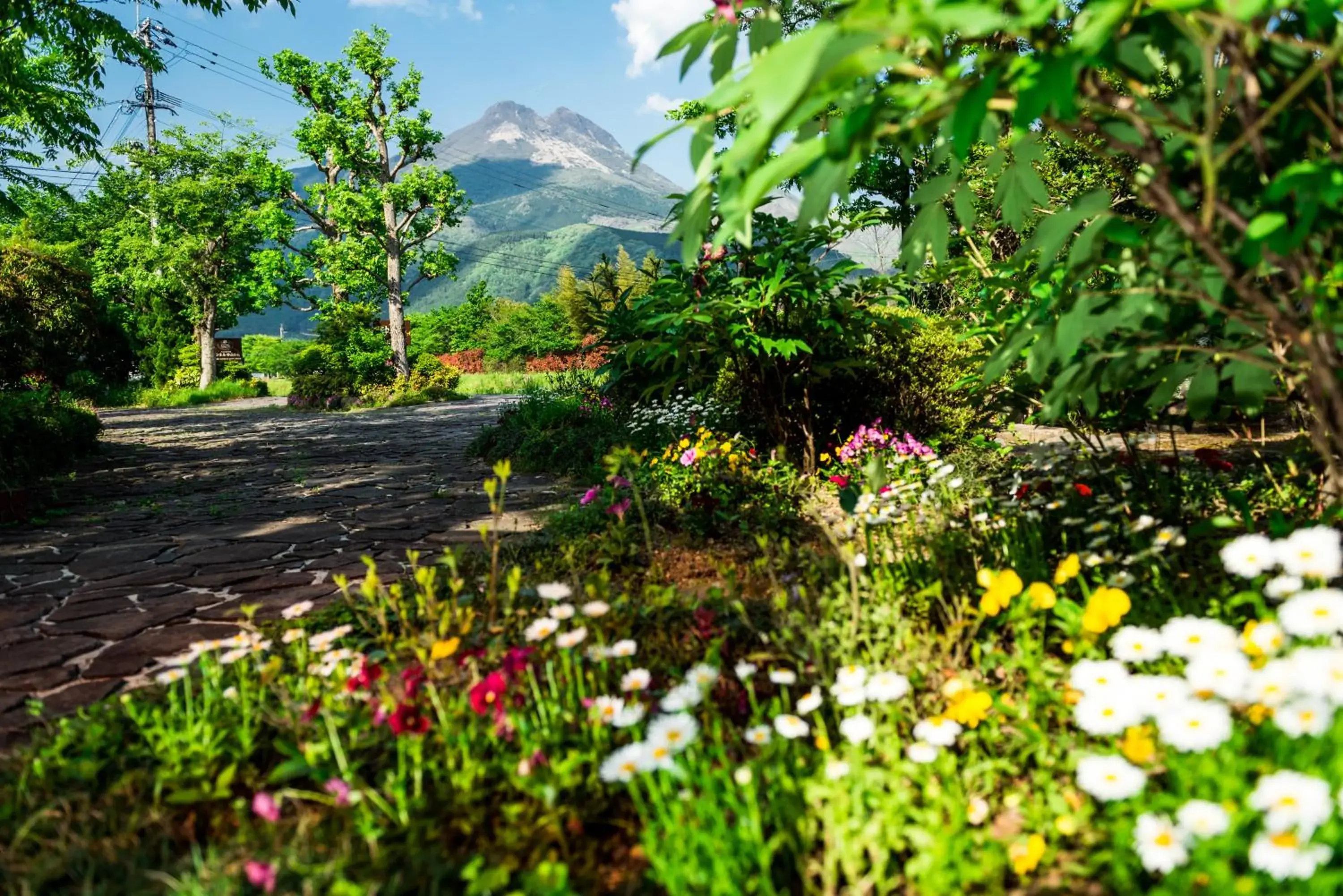 Natural landscape in Pension Yufuin Natural landscape in Pension Yufuin