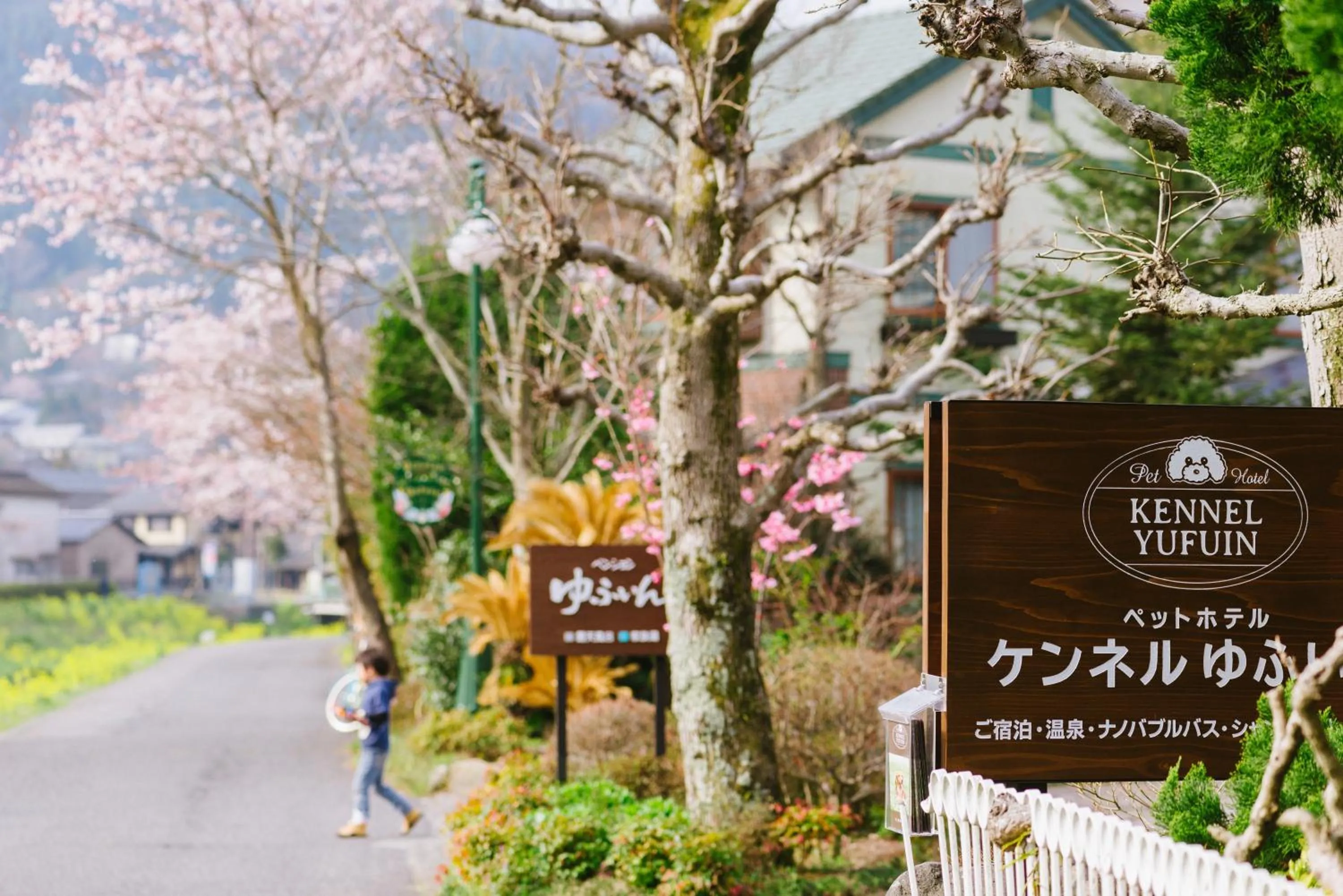 Property logo or sign in Pension Yufuin