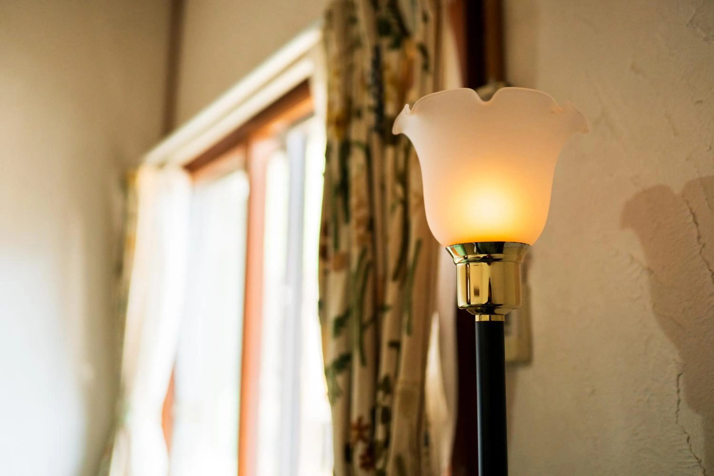 Photo of the whole room in Pension Yufuin