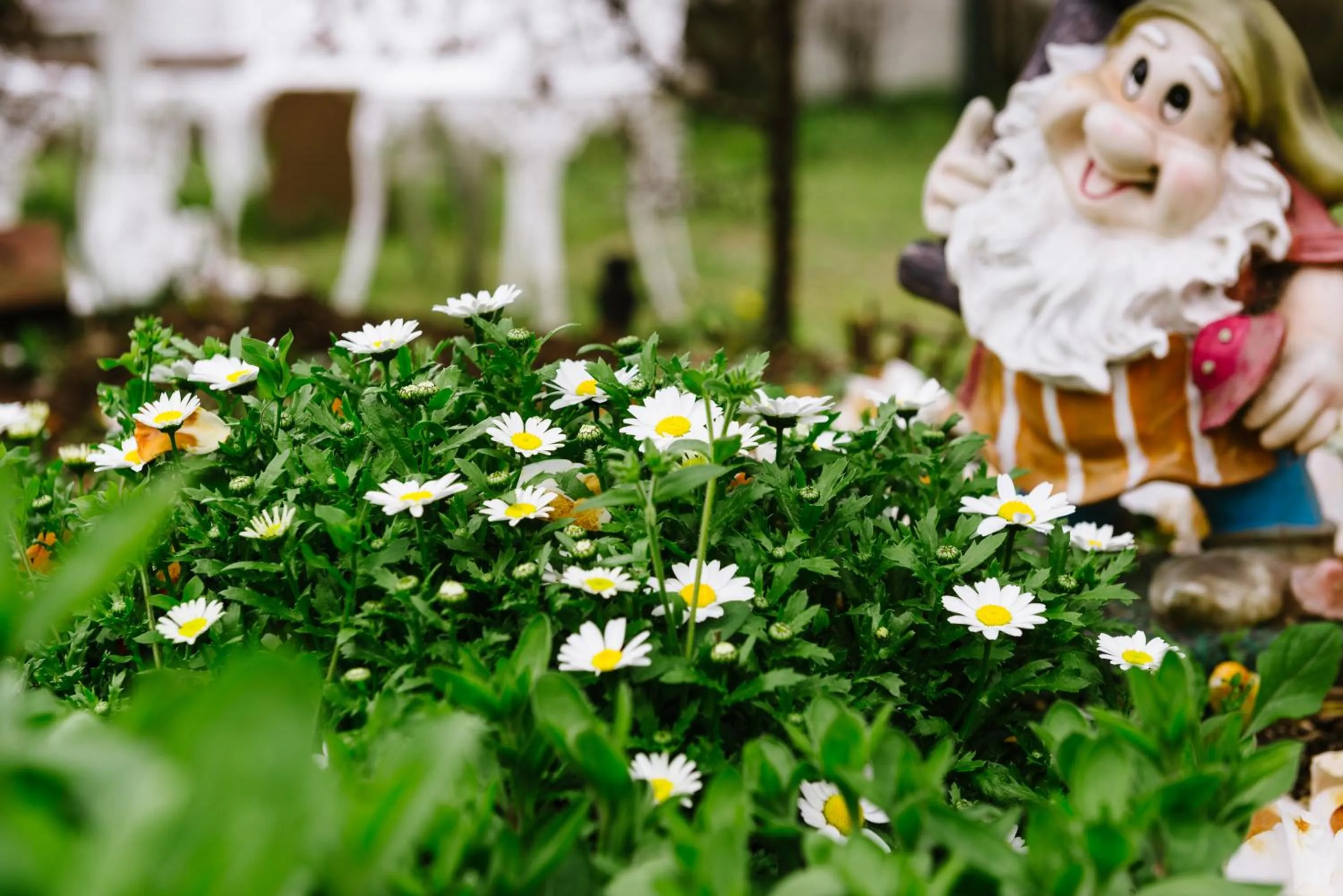 Spring in Pension Yufuin