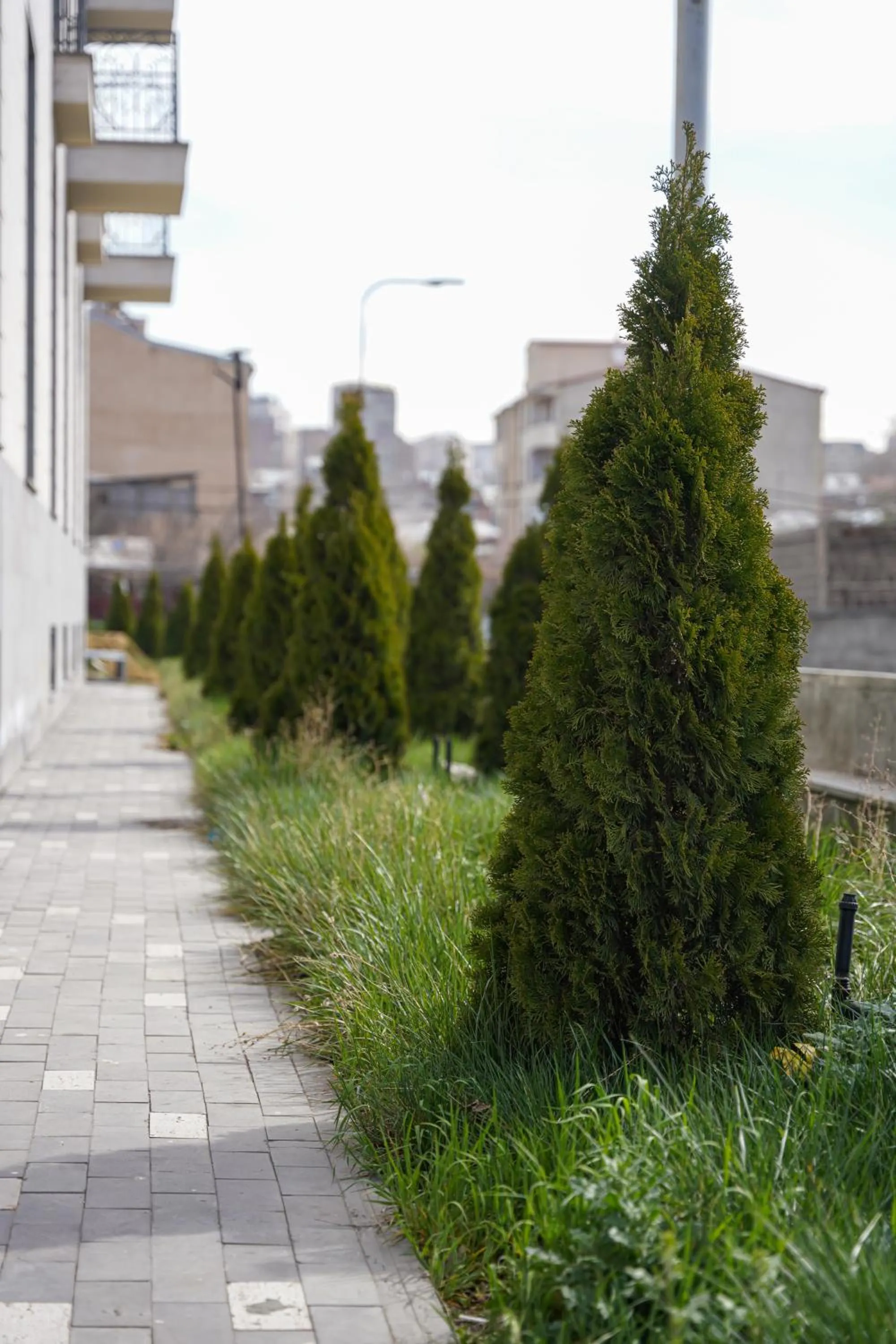 Property building in Dynasty Hotel & SPA