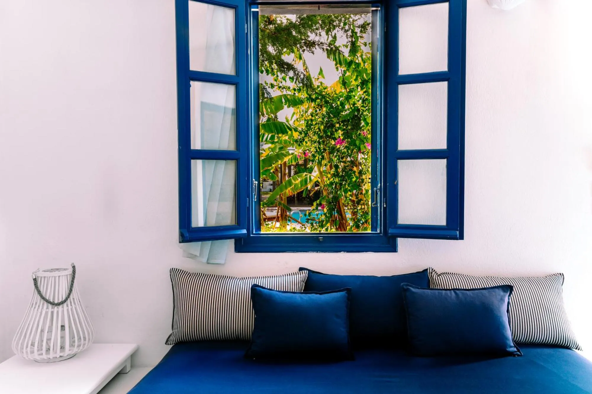 Garden in Casa Di Roma