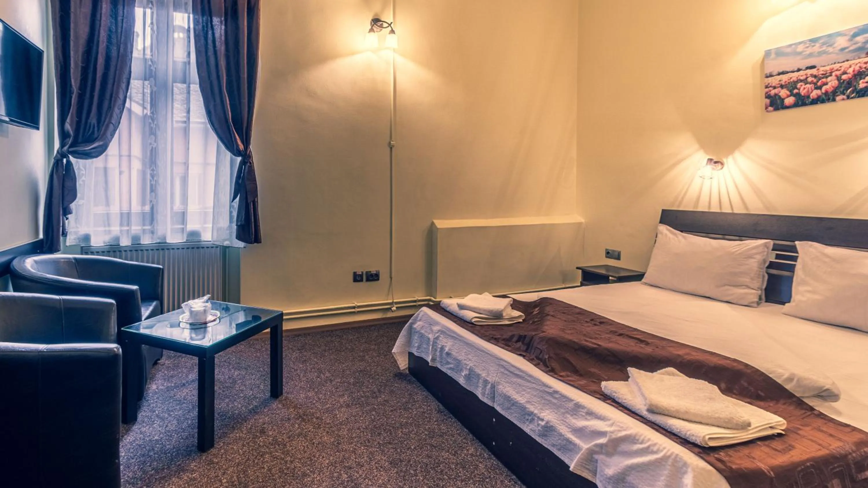 Standard Double Room in Pensiunea Hermannstadt
