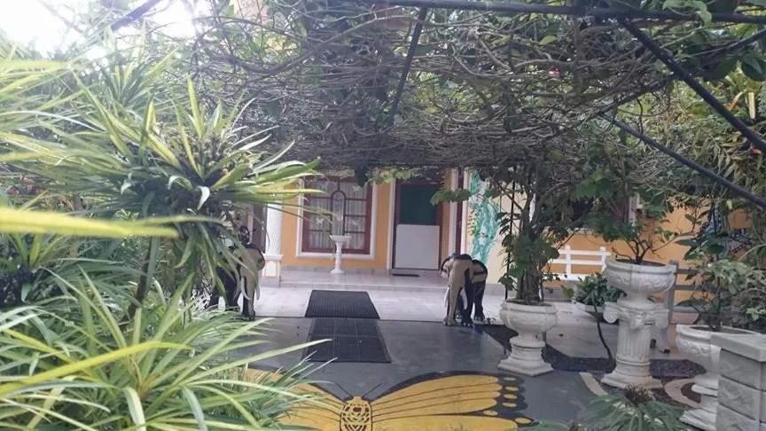 Villa Butterfly