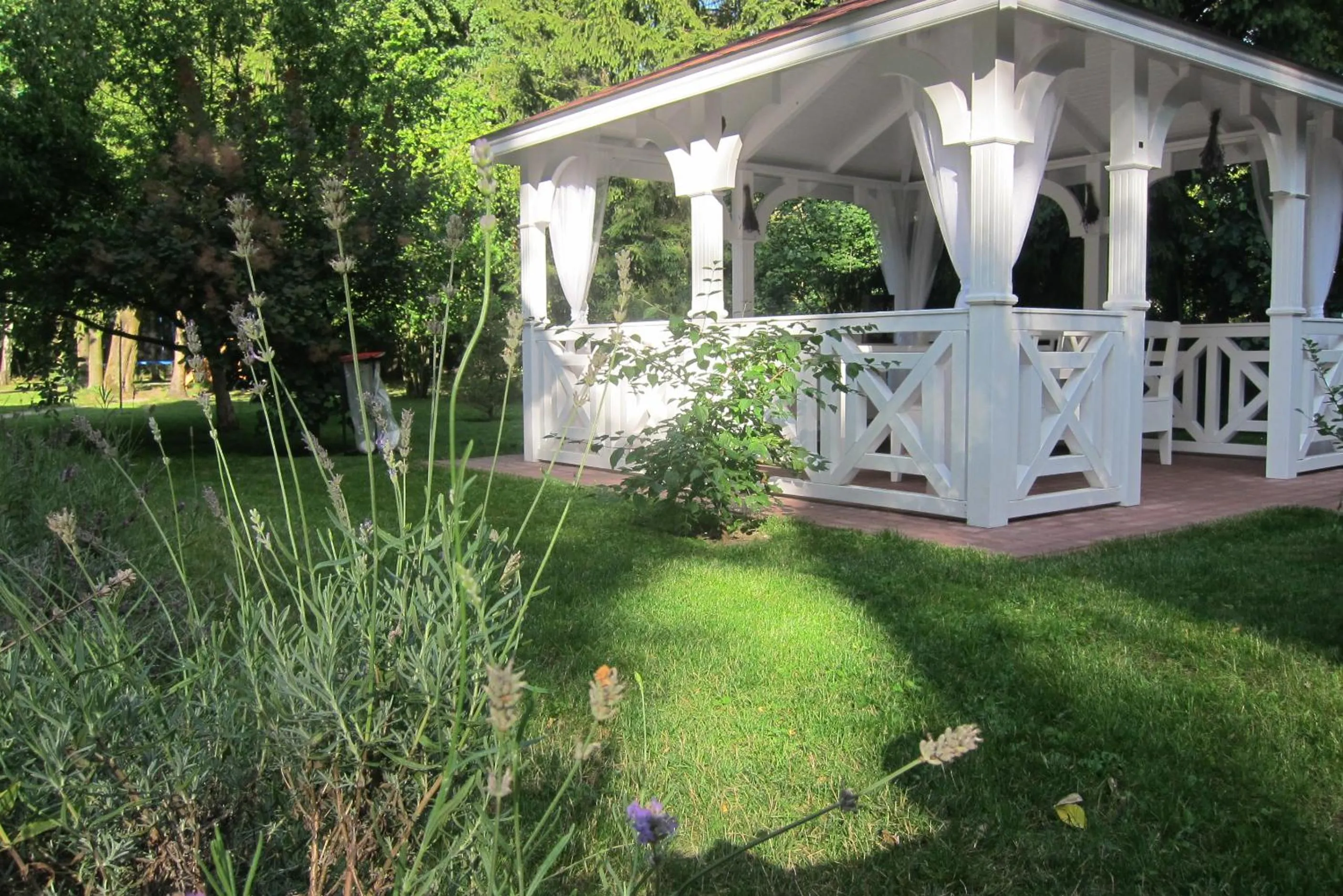 Garden in Willa Puławianka