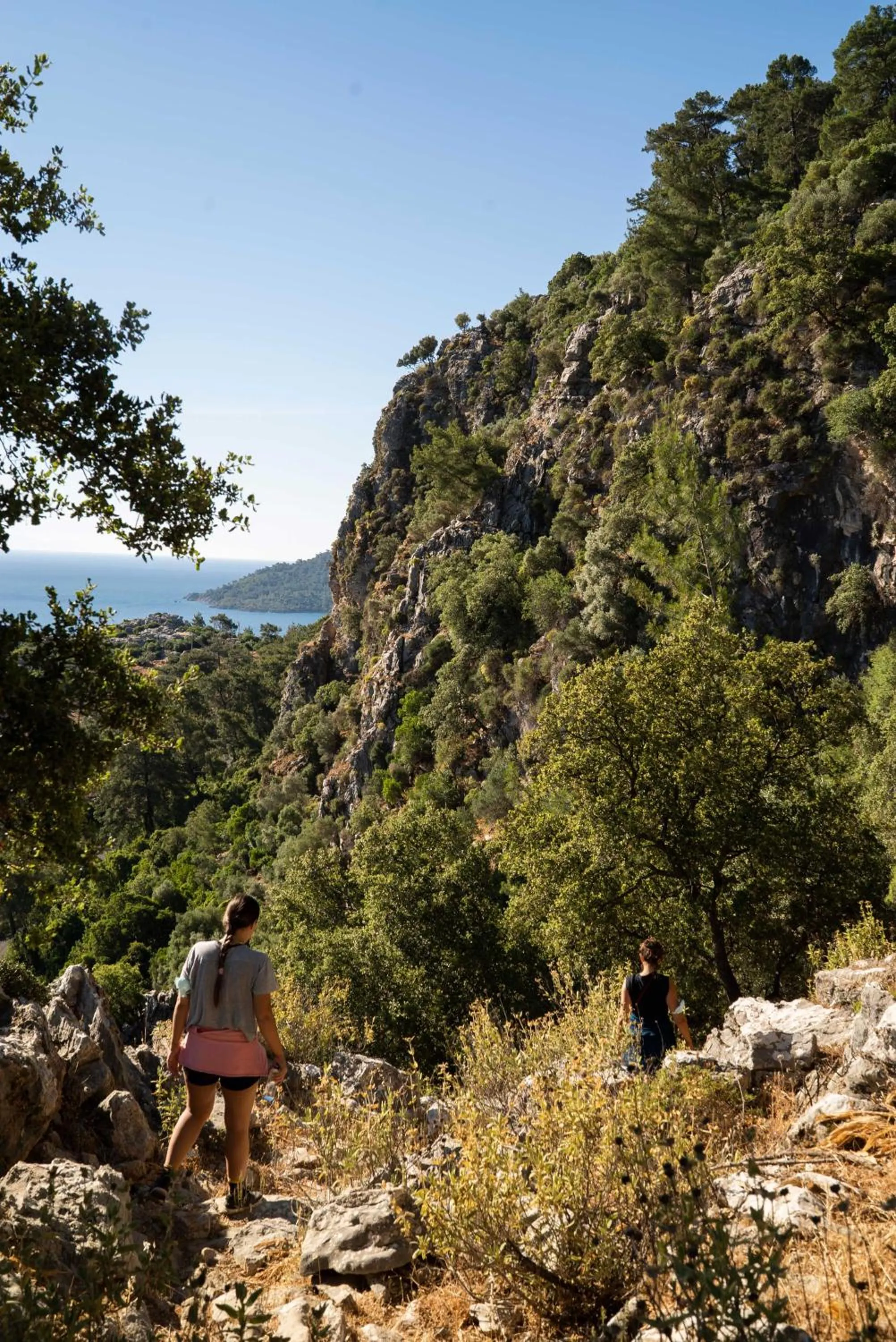Natural landscape in The Diplomat Hotel