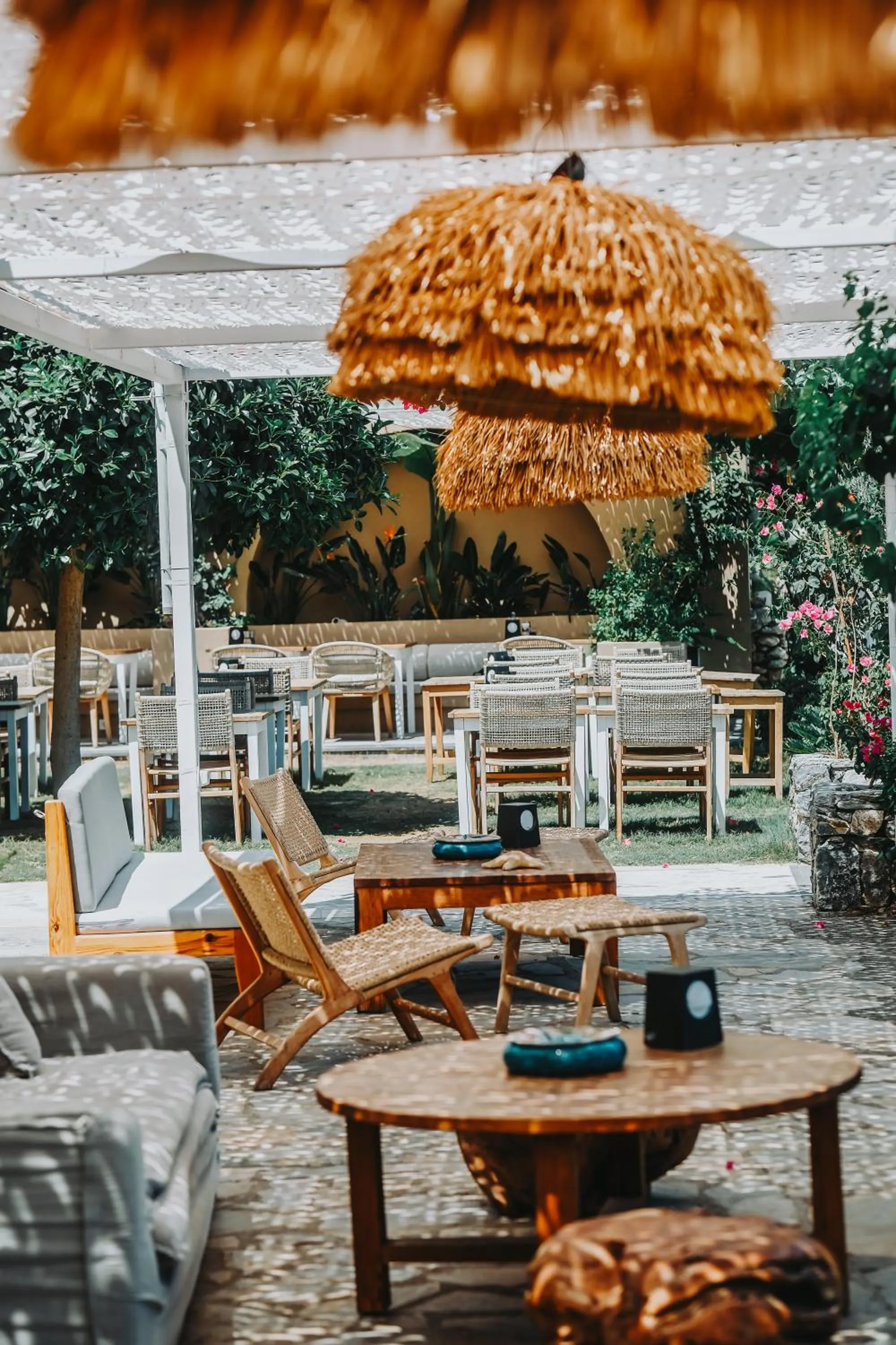 Restaurant/places to eat in The Diplomat Hotel