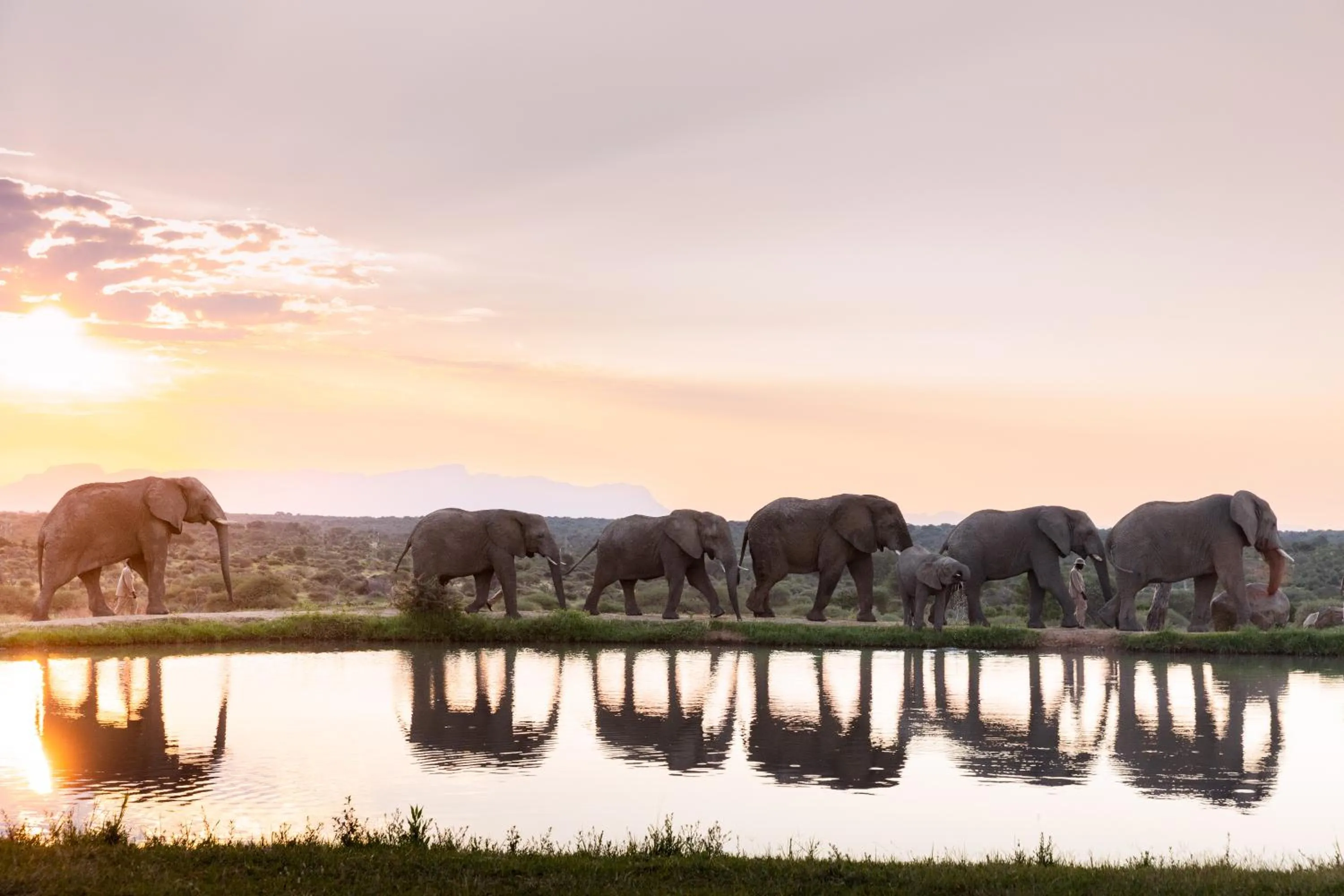 Jabulani Safari Relais & Chateaux