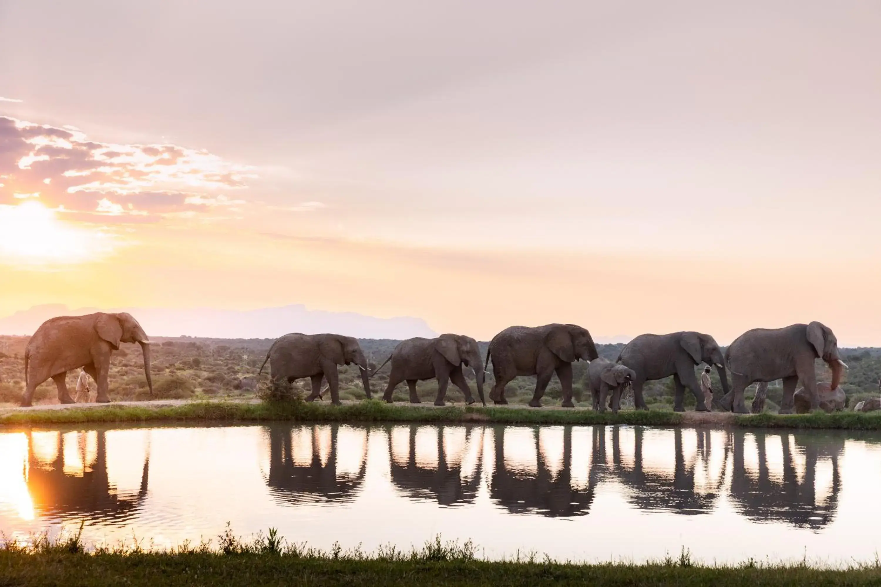 Jabulani Safari Relais & Chateaux Jabulani Safari Relais & Chateaux