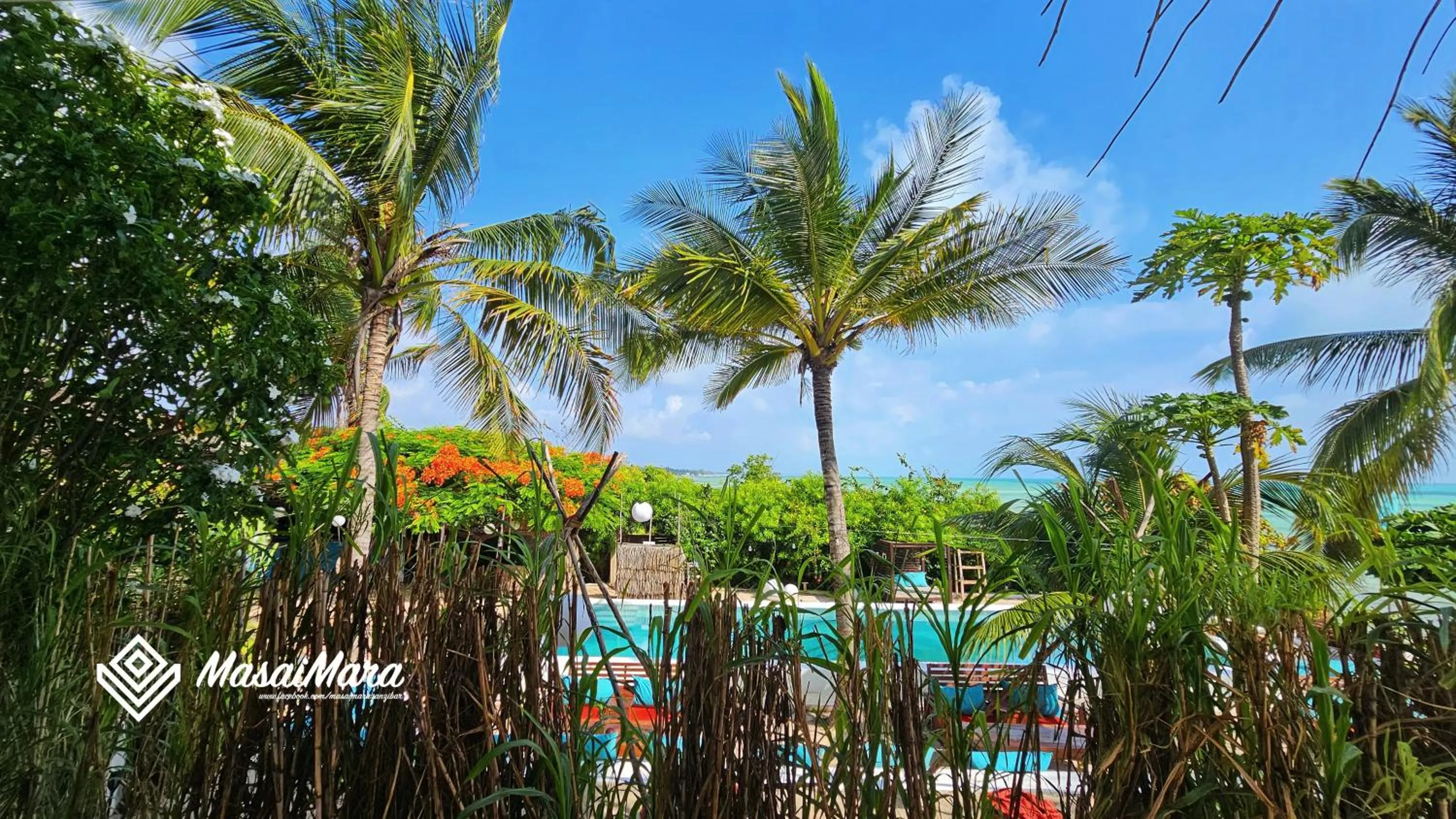 Pool view in Masai Mara Zanzibar - Boutique Hotel