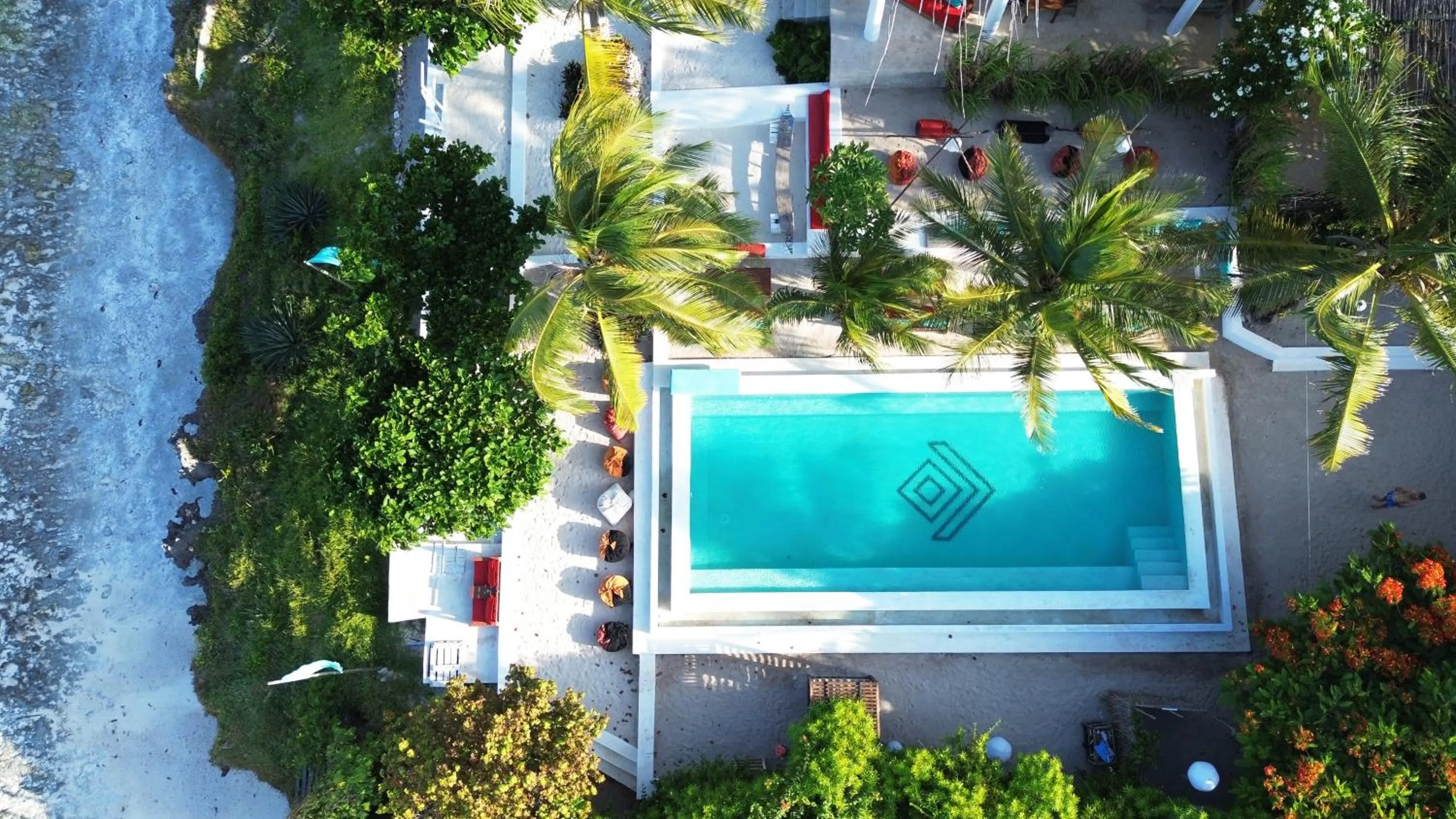 Bird's eye view in Masai Mara Zanzibar - Boutique Hotel