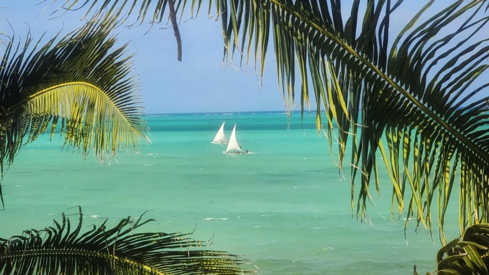 Beach in Masai Mara Zanzibar - Boutique Hotel