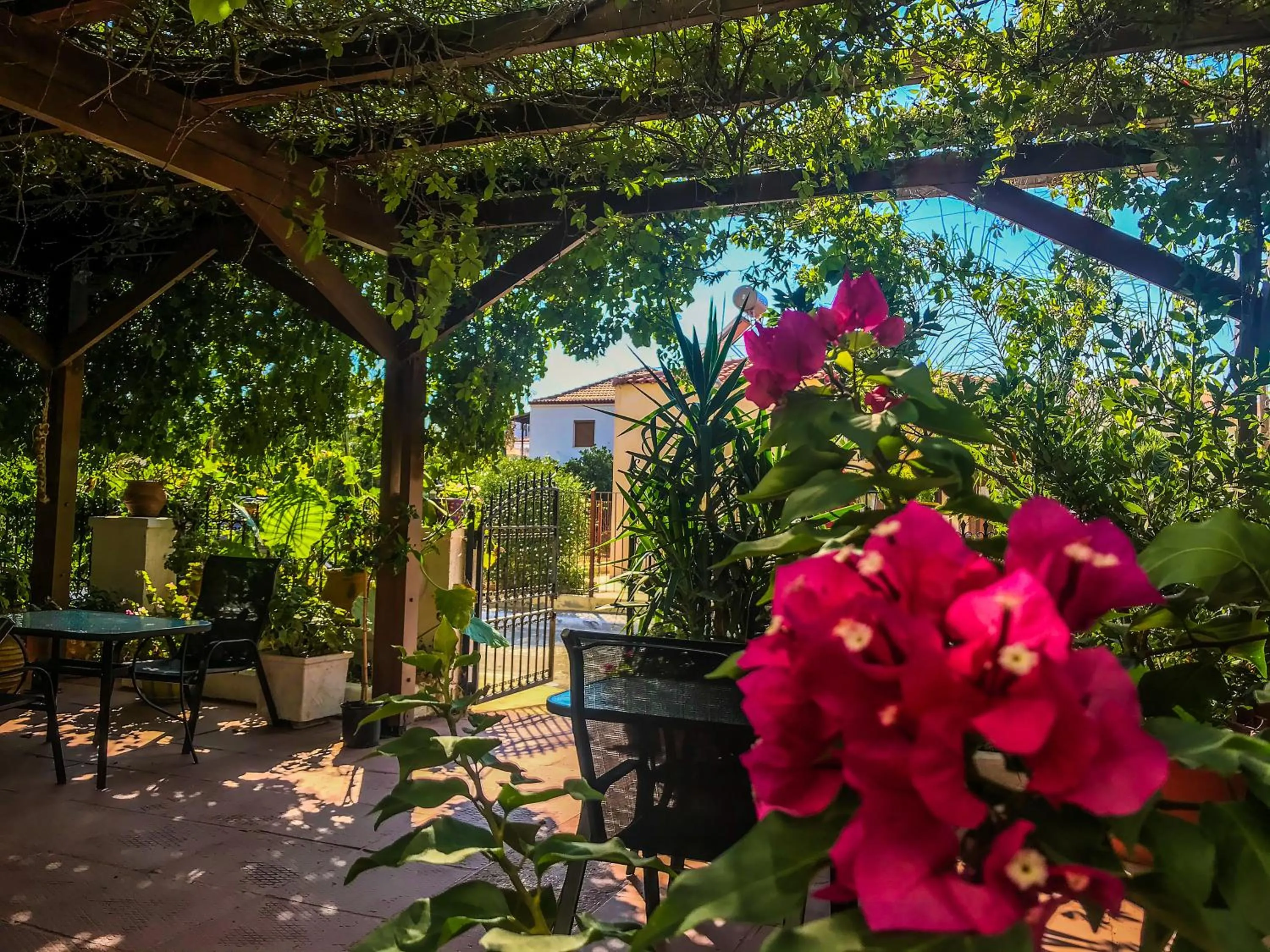 Patio in Ulysses Hotel
