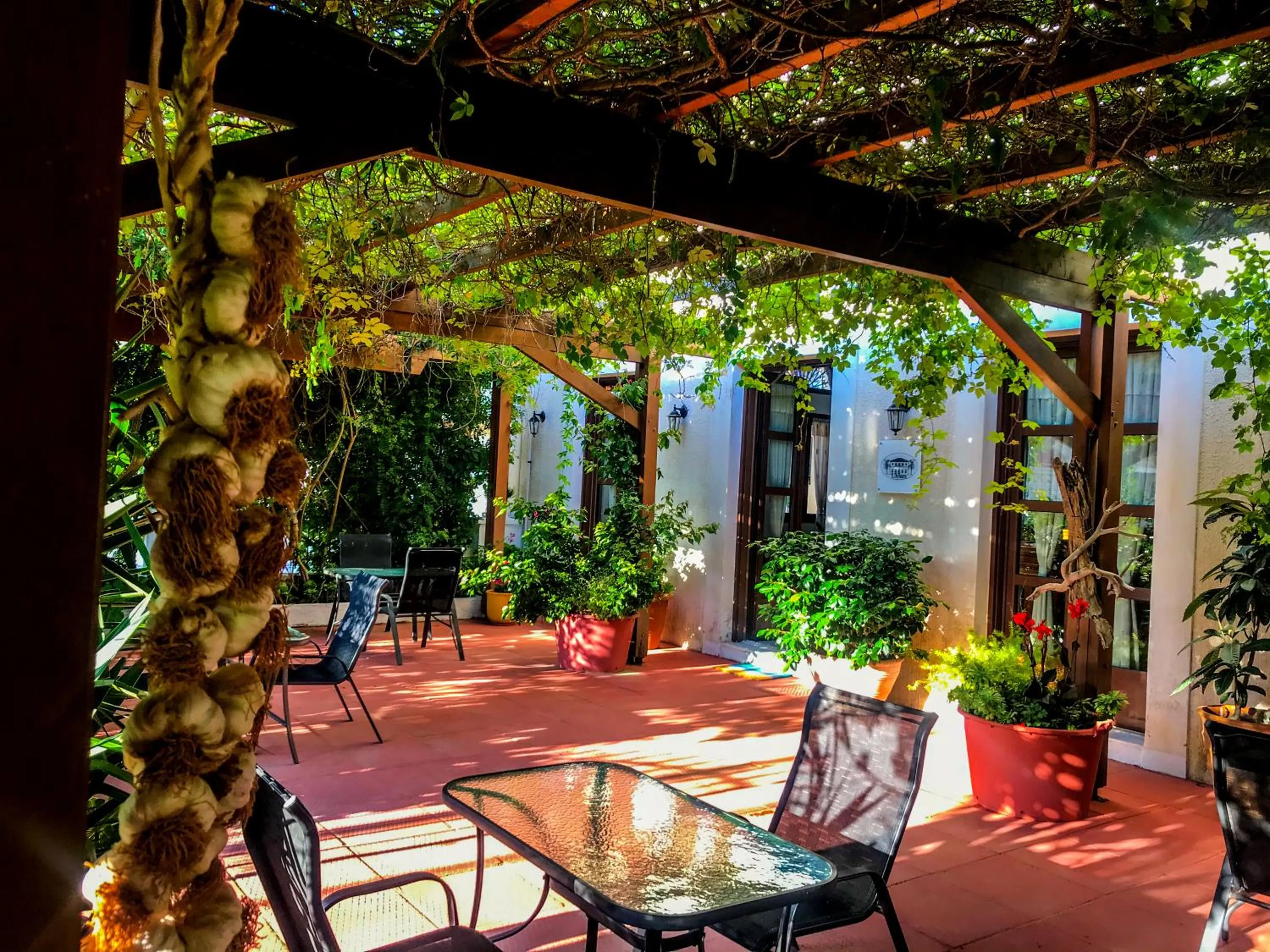 Garden in Ulysses Hotel