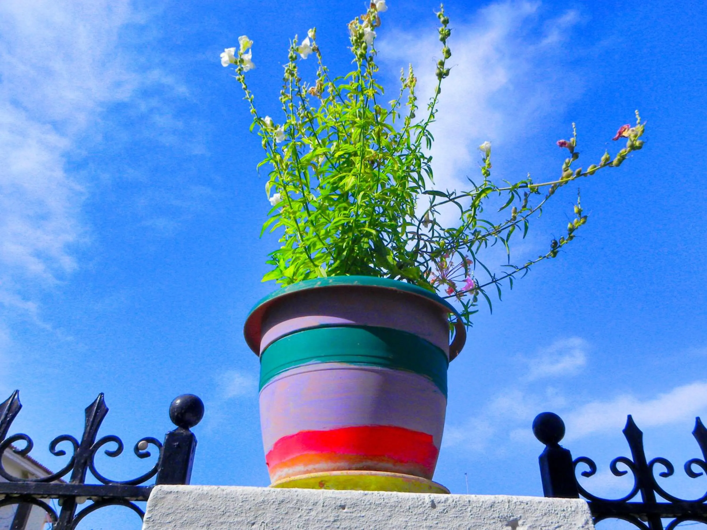 Decorative detail in Ulysses Hotel