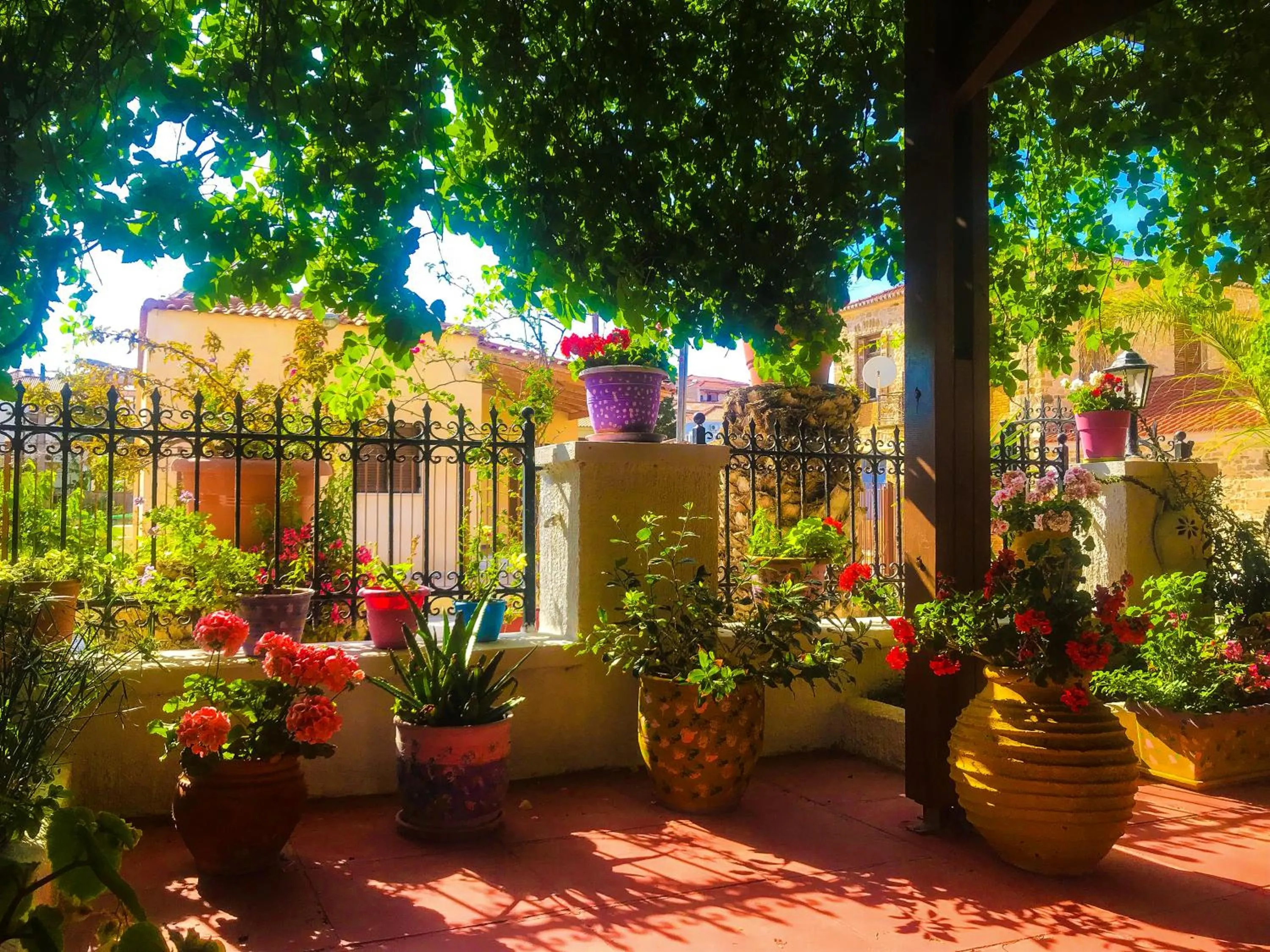 Patio in Ulysses Hotel