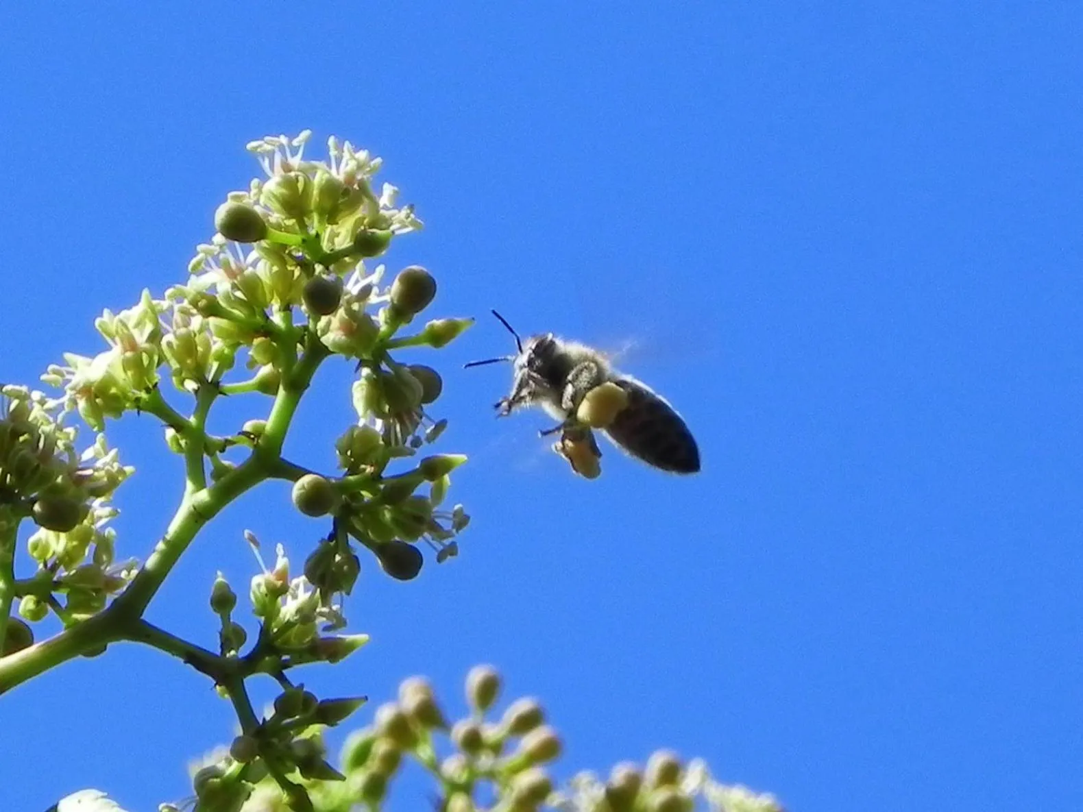 Summer in Ulysses Hotel