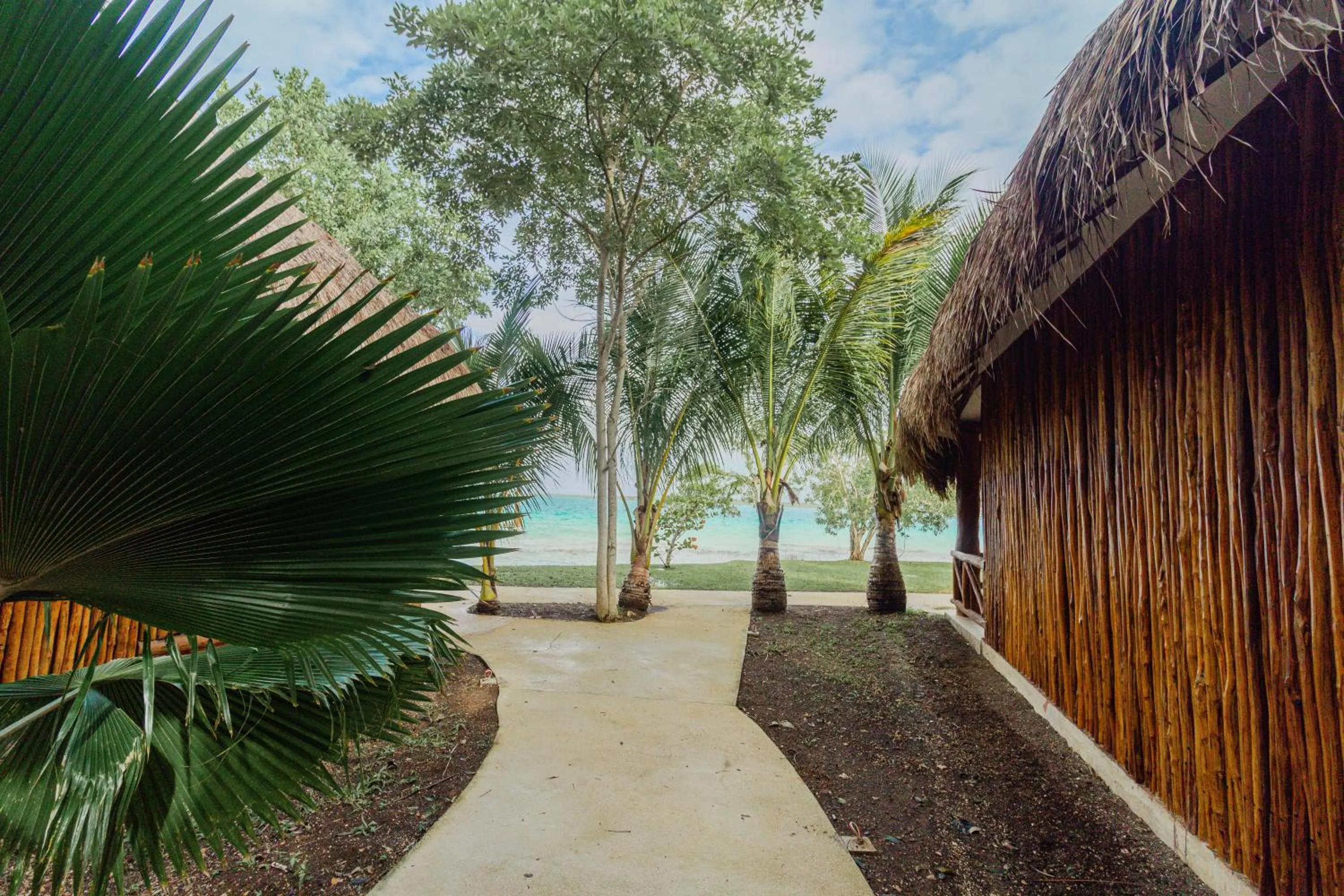 Garden in Mayan Playa Bacalar