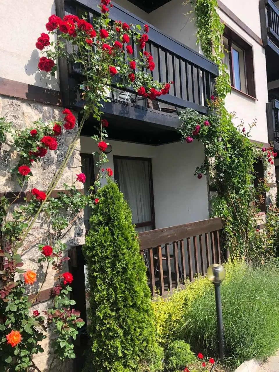 Garden in Hotel Zara