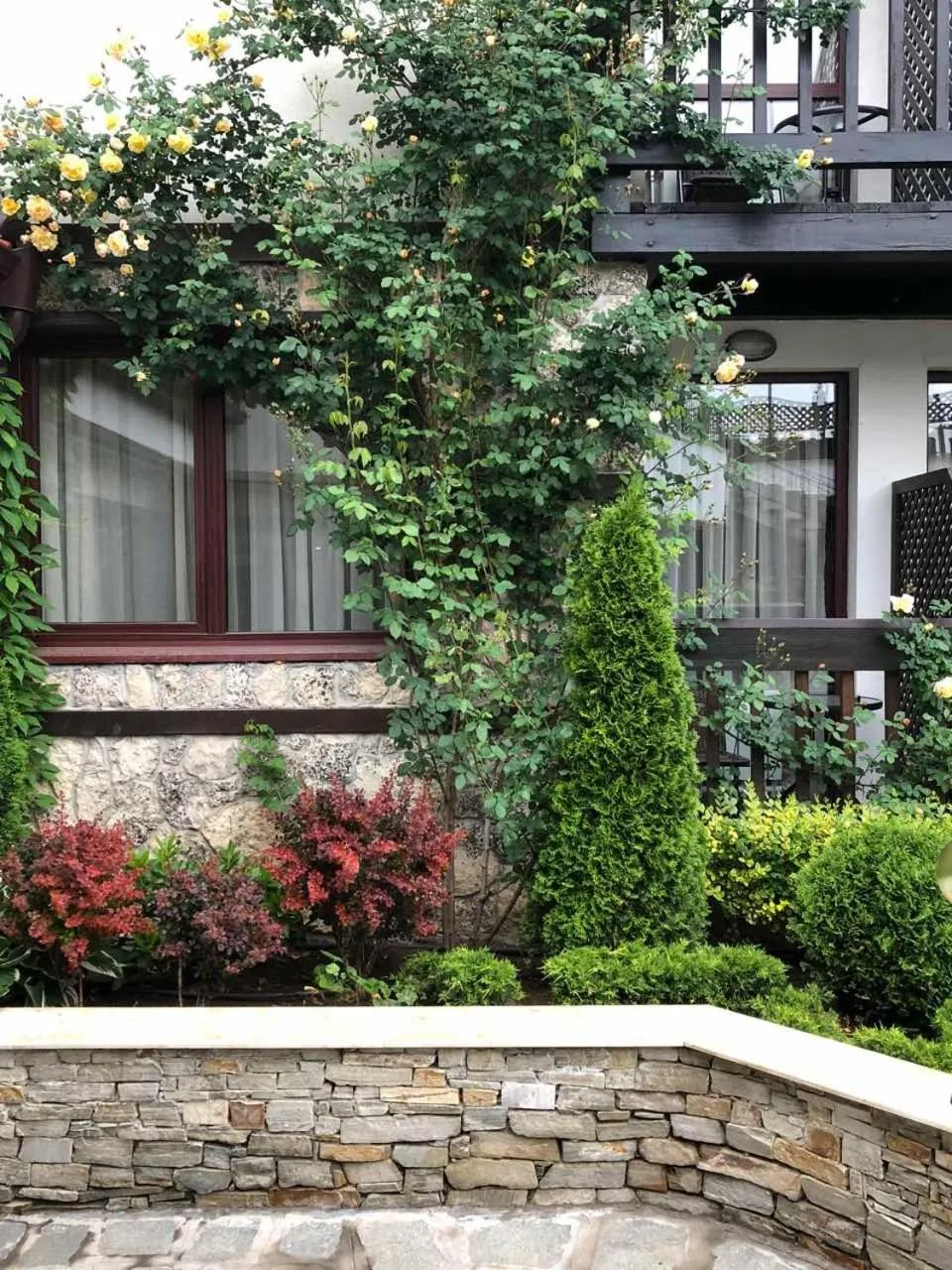 Garden in Hotel Zara