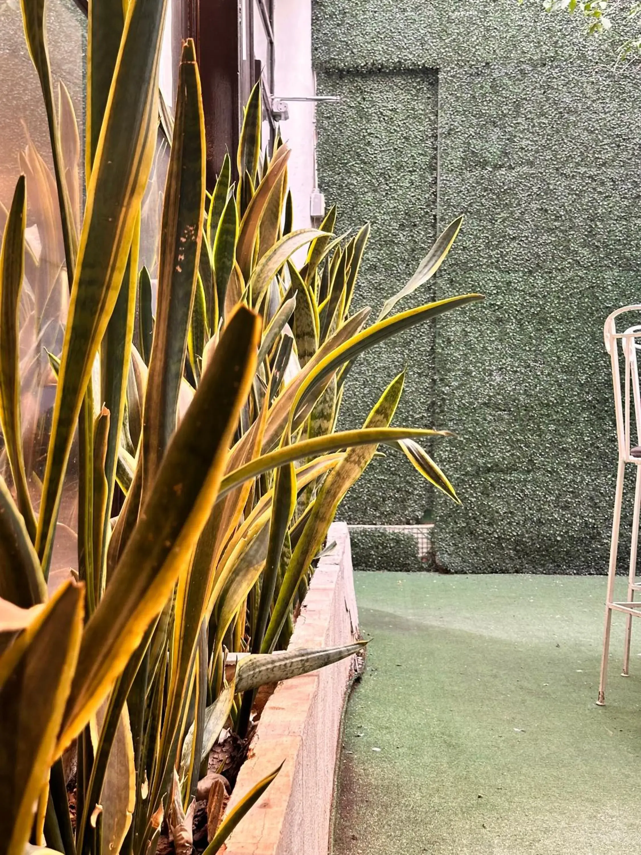 Property building in Hotel del Fresno Property building in Hotel del Fresno