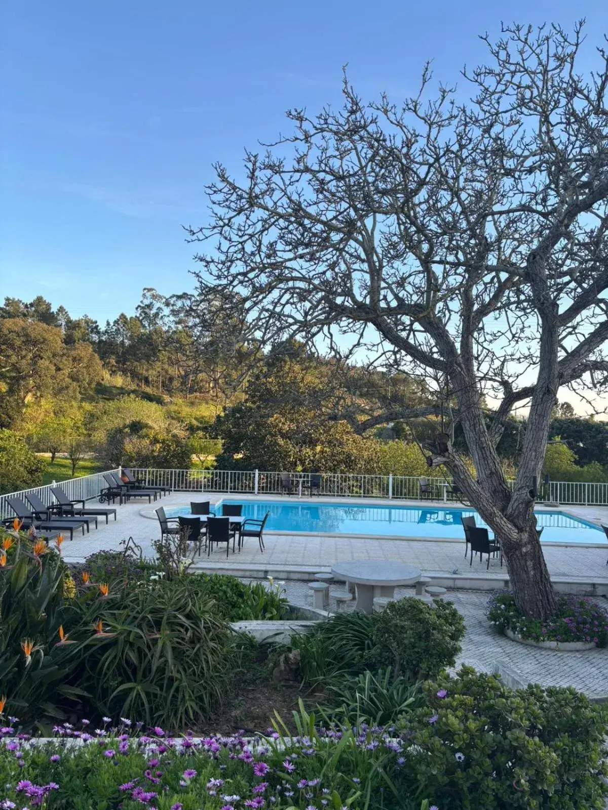 Quinta da Carlota Quinta da Carlota