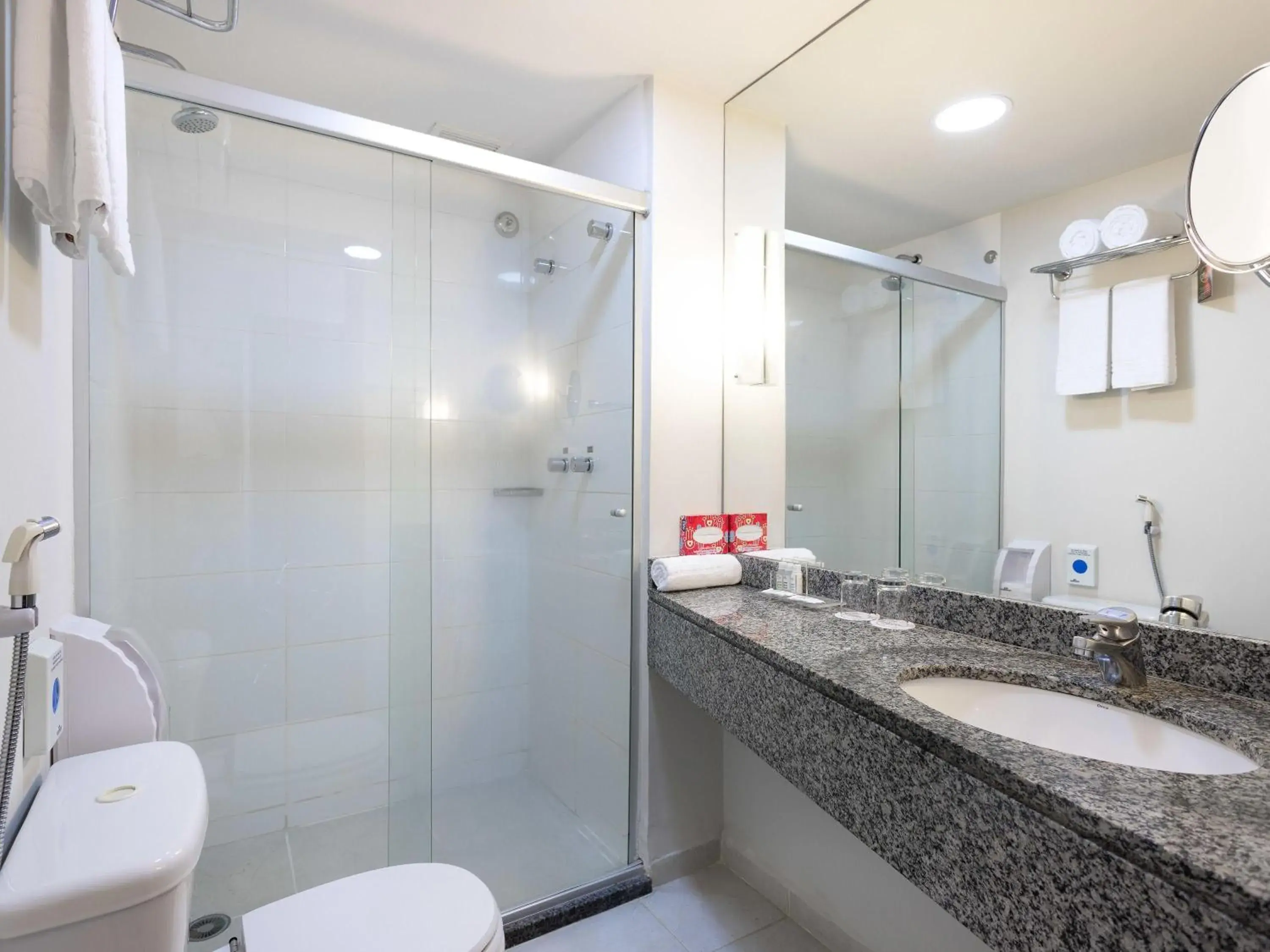 Superior Twin Room in Mercure Sao Paulo Bela Vista Superior Twin Room in Mercure Sao Paulo Bela Vista