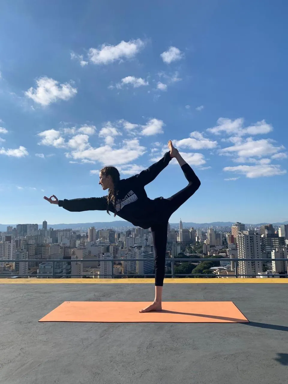 Bird's eye view in Mercure Sao Paulo Bela Vista