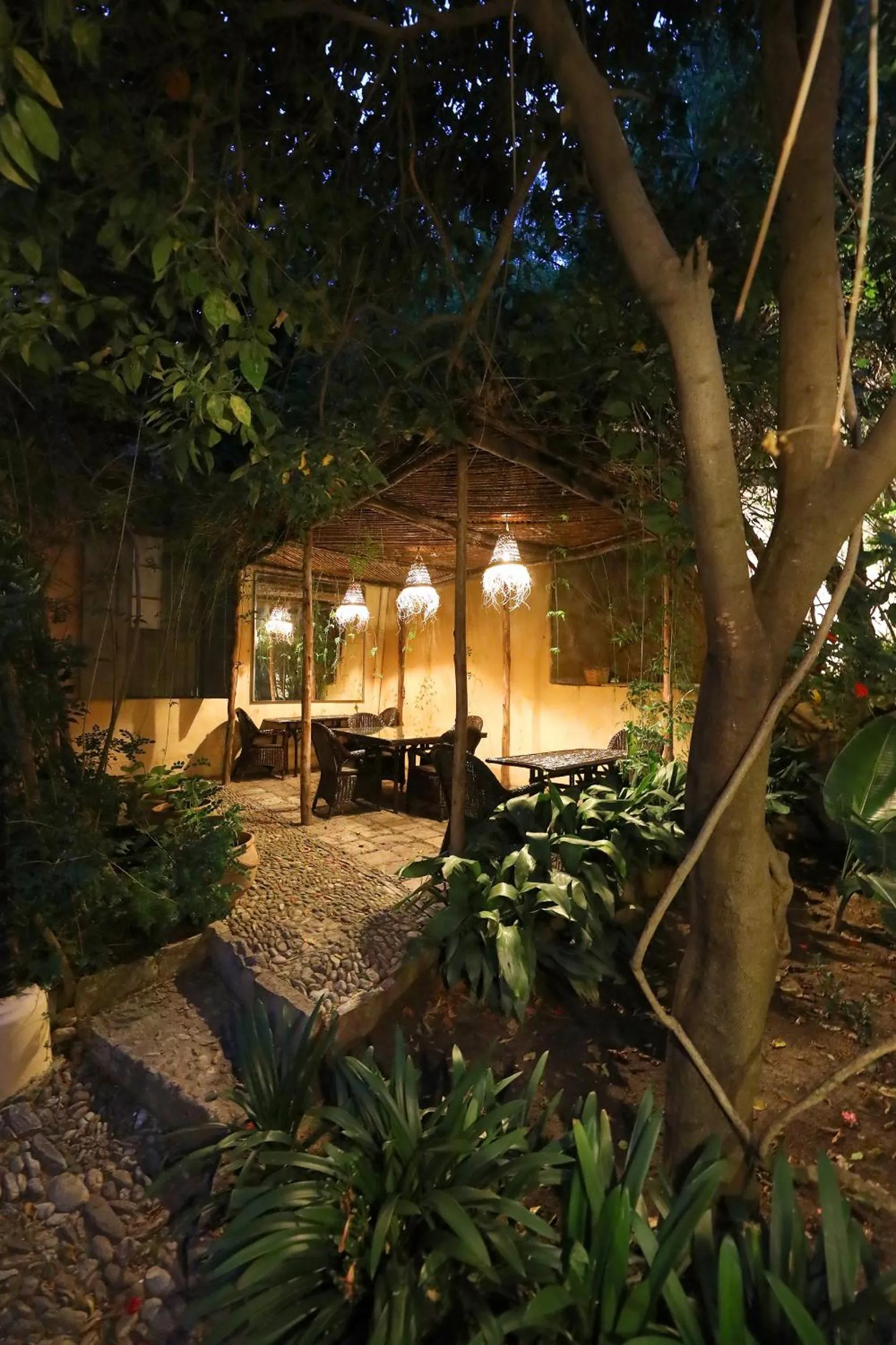 Restaurant/places to eat in Mimi Calpe