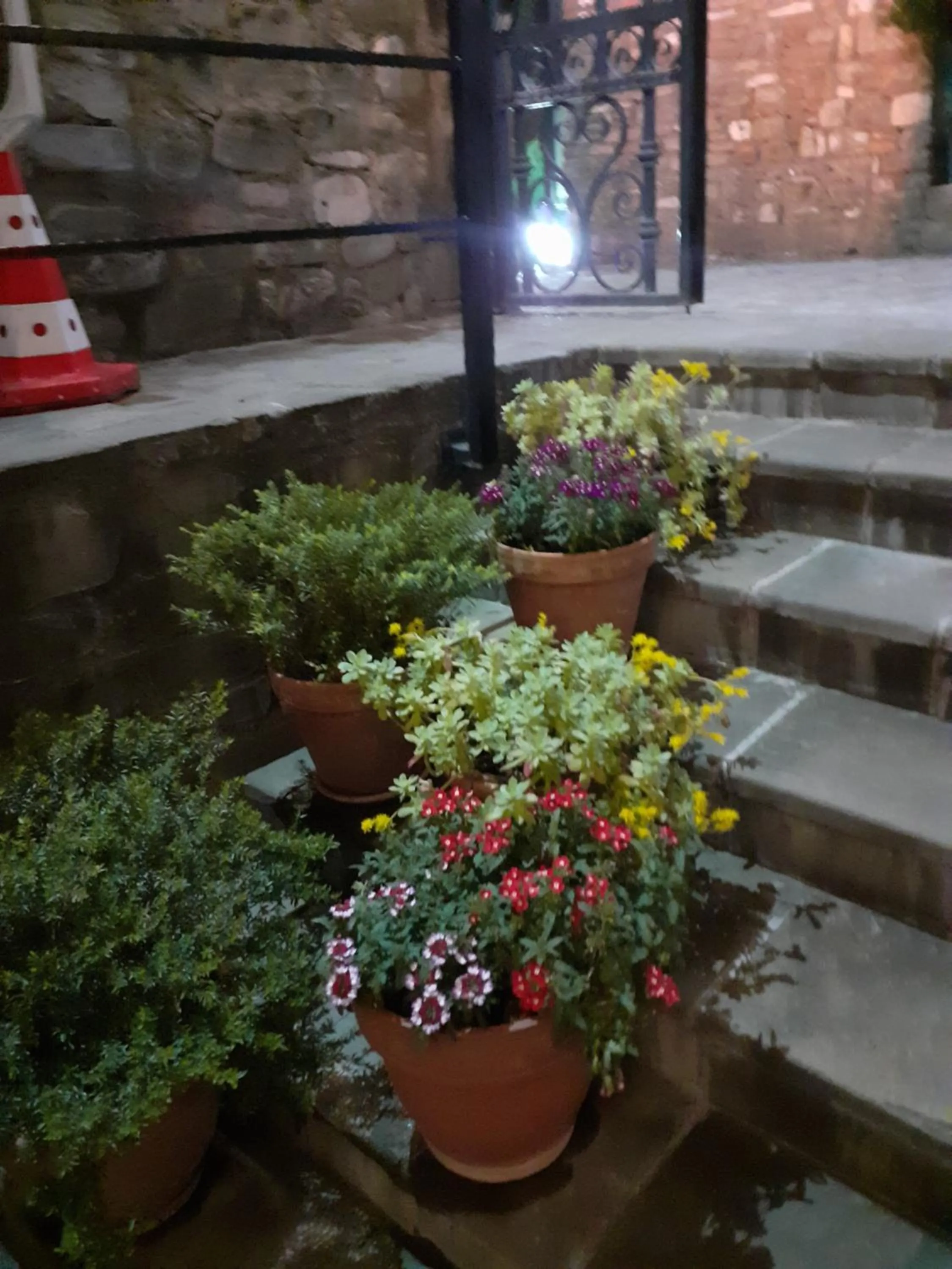 Hotel Guri